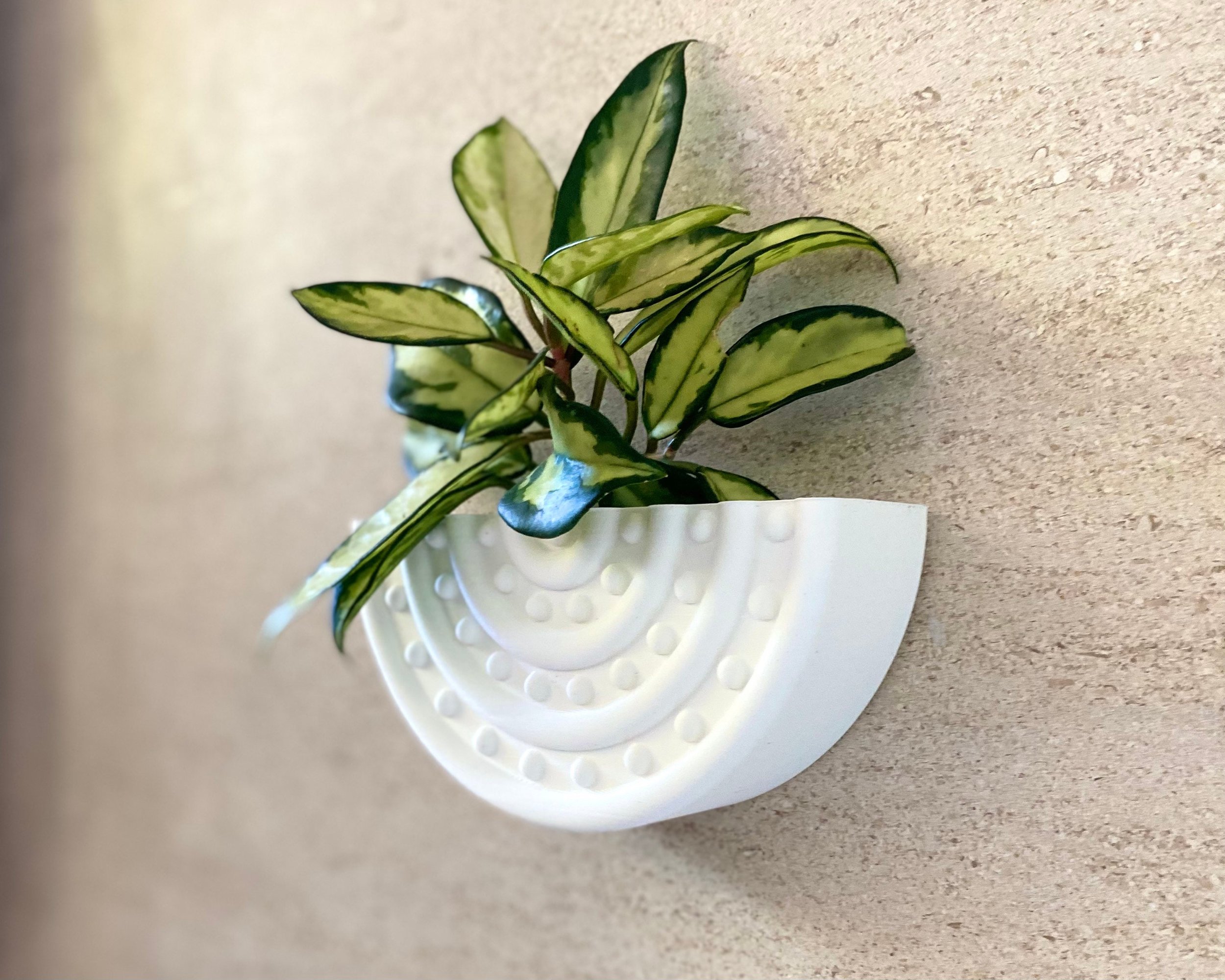 https://i.etsystatic.com/23301702/r/il/f053e5/3900861650/il_fullxfull.3900861650_jozg.jpg
