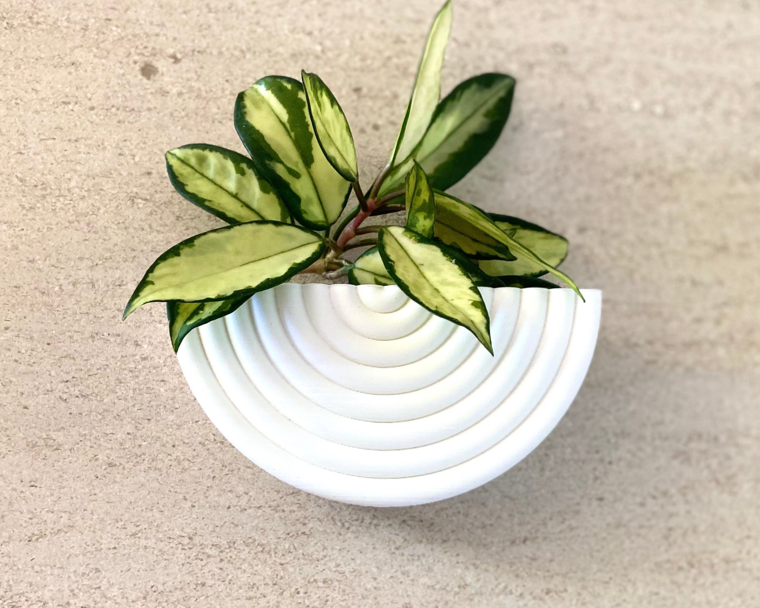 https://i.etsystatic.com/23301702/r/il/39e2e4/3900861646/il_fullxfull.3900861646_jw1h.jpg