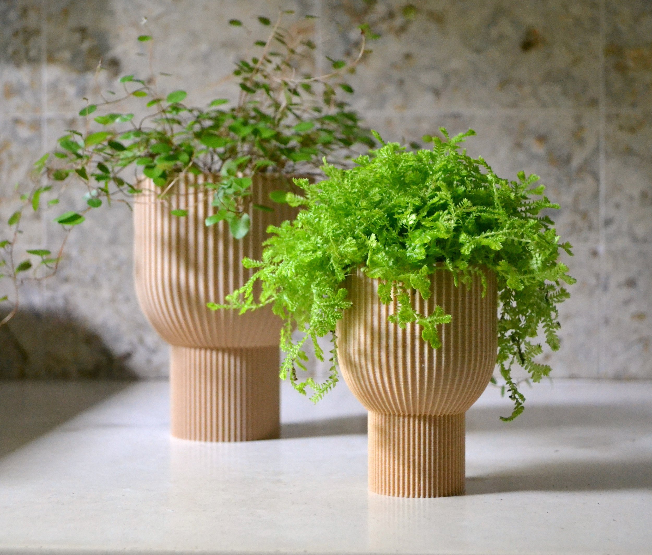 https://i.etsystatic.com/23301702/r/il/020f5a/2557146738/il_fullxfull.2557146738_t0i9.jpg