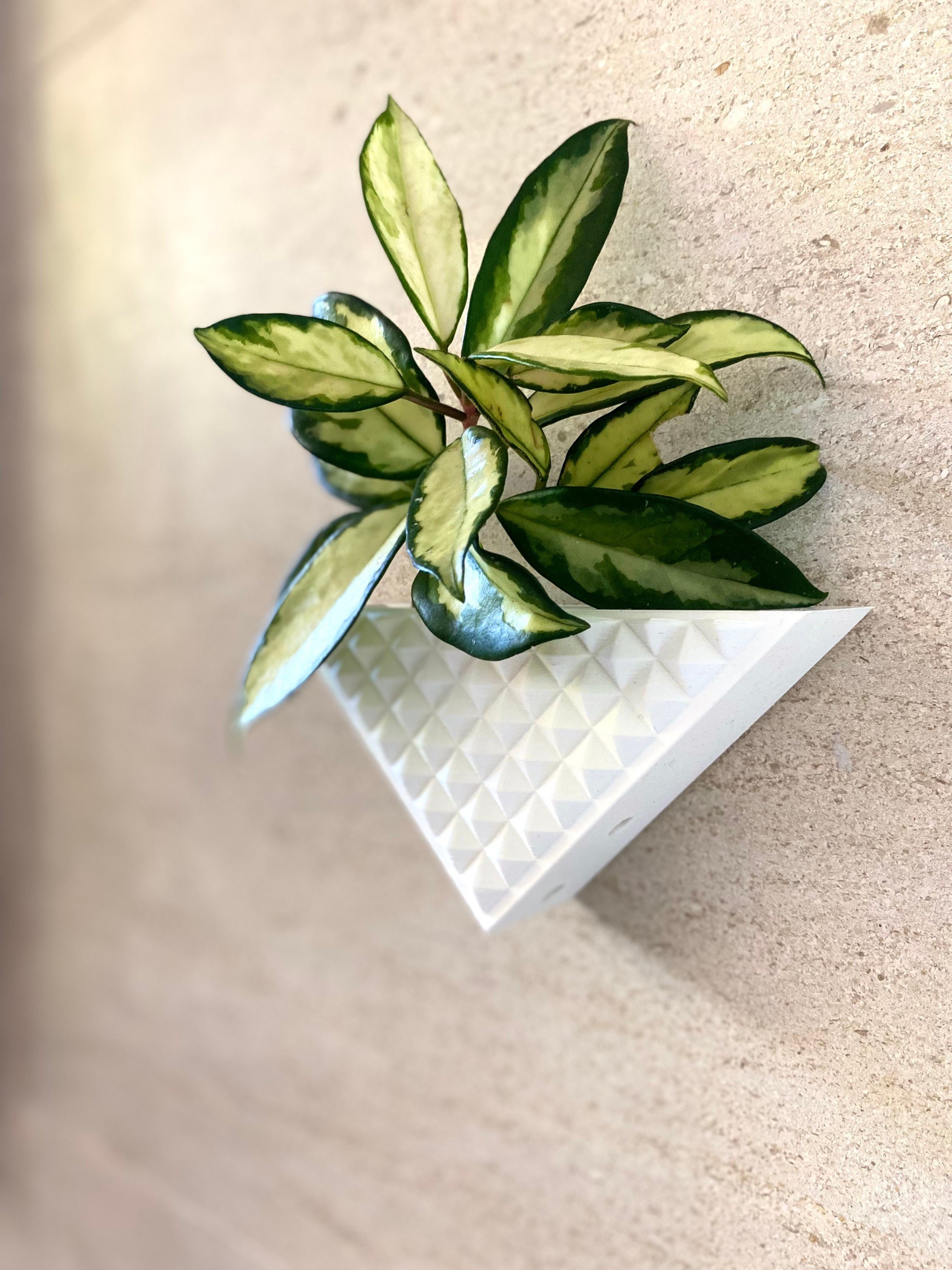 https://i.etsystatic.com/23301702/r/il/c94c1d/3930217998/il_fullxfull.3930217998_qvqh.jpg