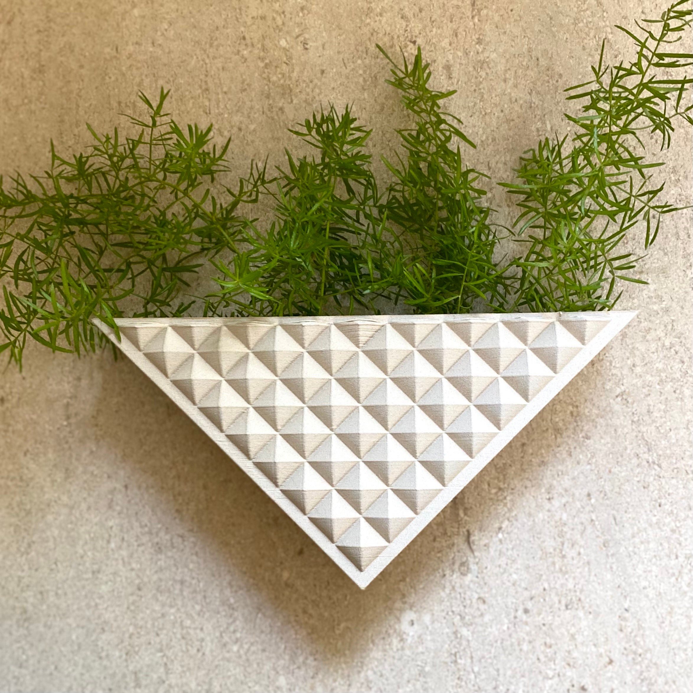https://i.etsystatic.com/23301702/r/il/009fcf/5022856920/il_fullxfull.5022856920_a4ov.jpg