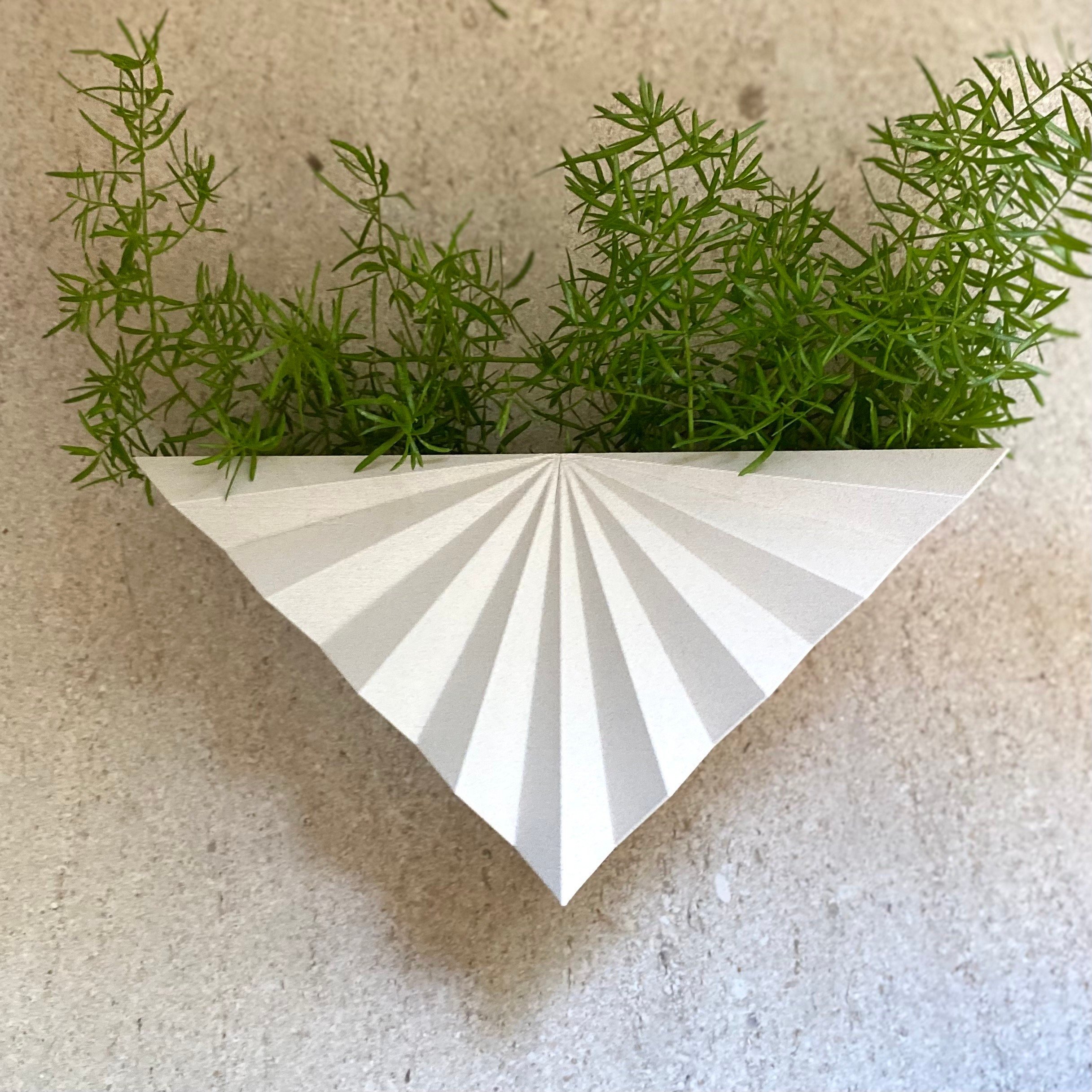 https://i.etsystatic.com/23301702/r/il/a05cc2/5071085015/il_fullxfull.5071085015_rm7o.jpg