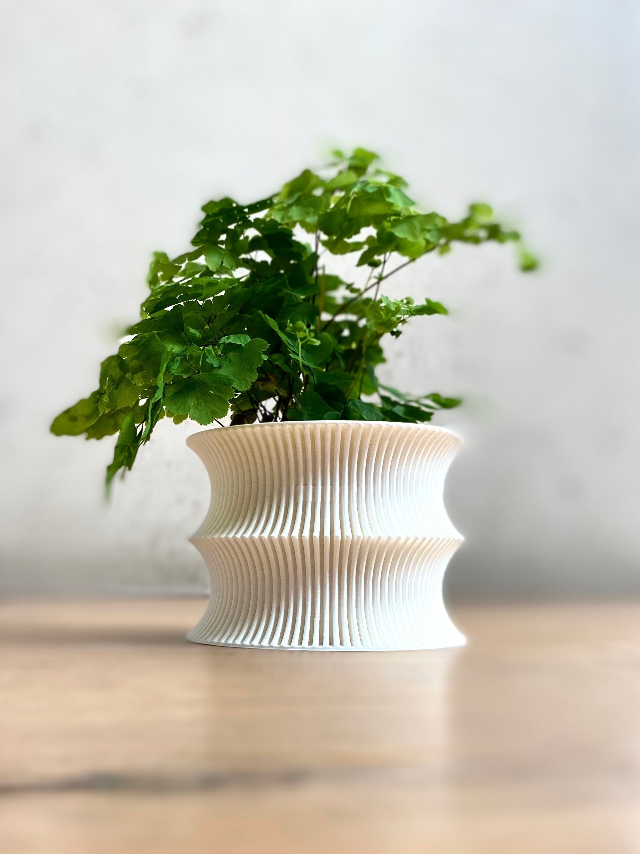 https://i.etsystatic.com/23301702/r/il/aa273e/3632412690/il_fullxfull.3632412690_4sh6.jpg