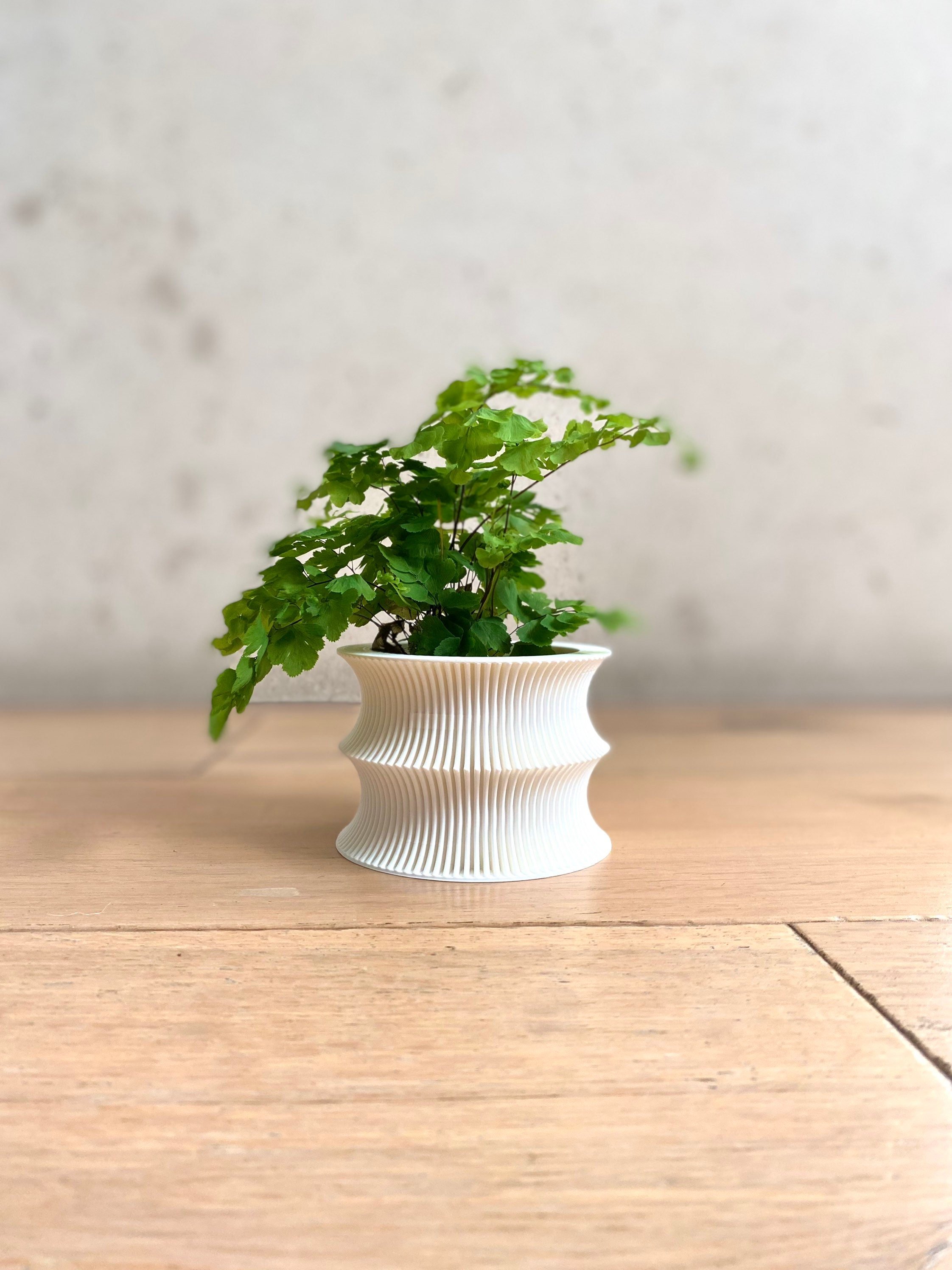 https://i.etsystatic.com/23301702/r/il/ea9083/3680018985/il_fullxfull.3680018985_njwv.jpg