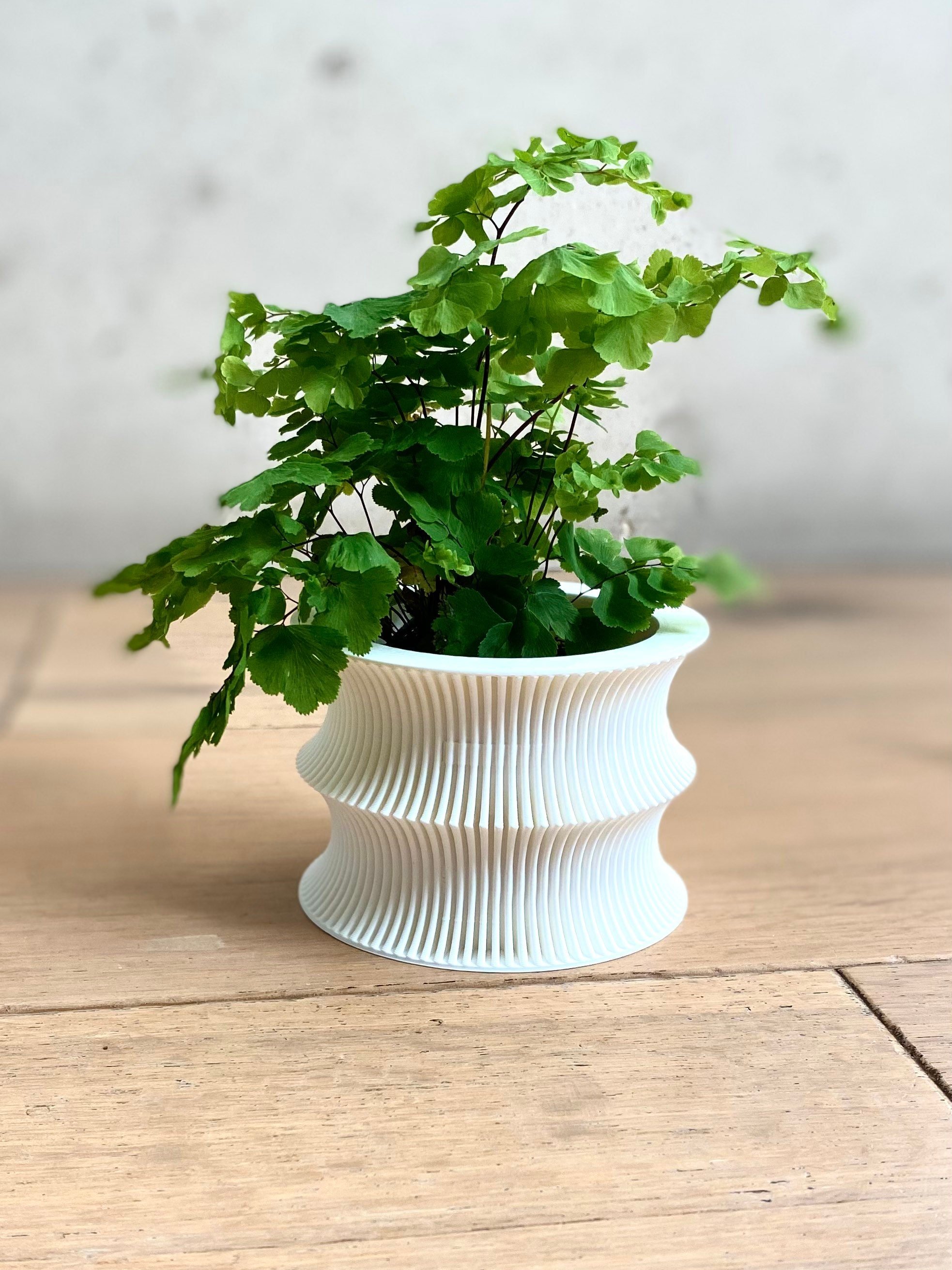https://i.etsystatic.com/23301702/r/il/dfc01b/3632410794/il_fullxfull.3632410794_2pin.jpg