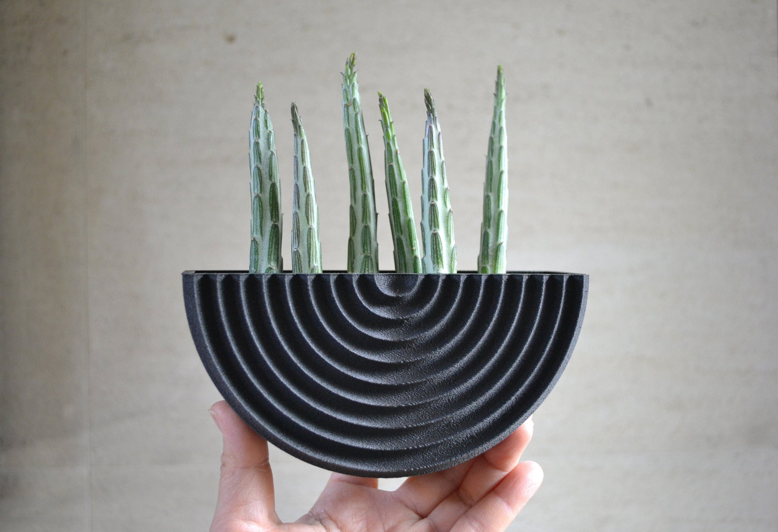 https://i.etsystatic.com/23301702/r/il/bda5c8/2778945112/il_fullxfull.2778945112_nivn.jpg