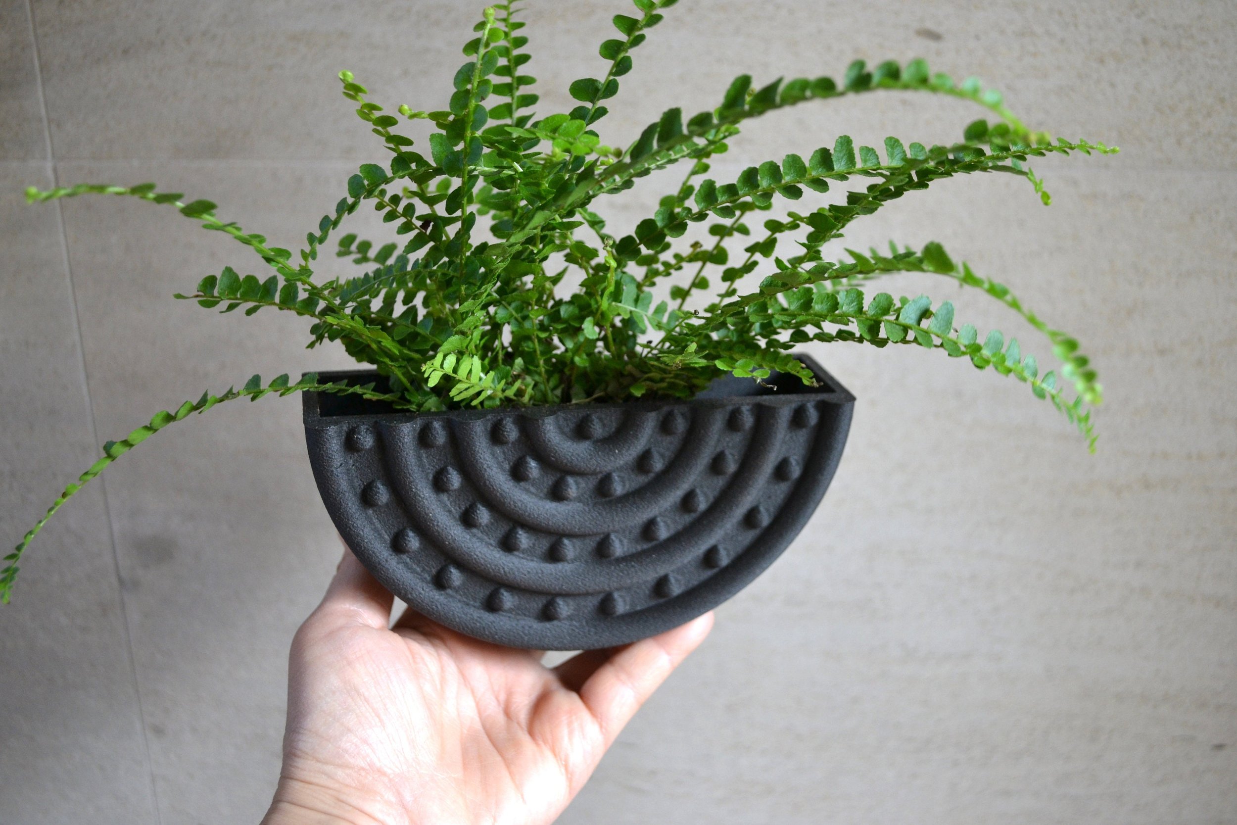 https://i.etsystatic.com/23301702/r/il/1b8f68/2778608456/il_fullxfull.2778608456_50bj.jpg