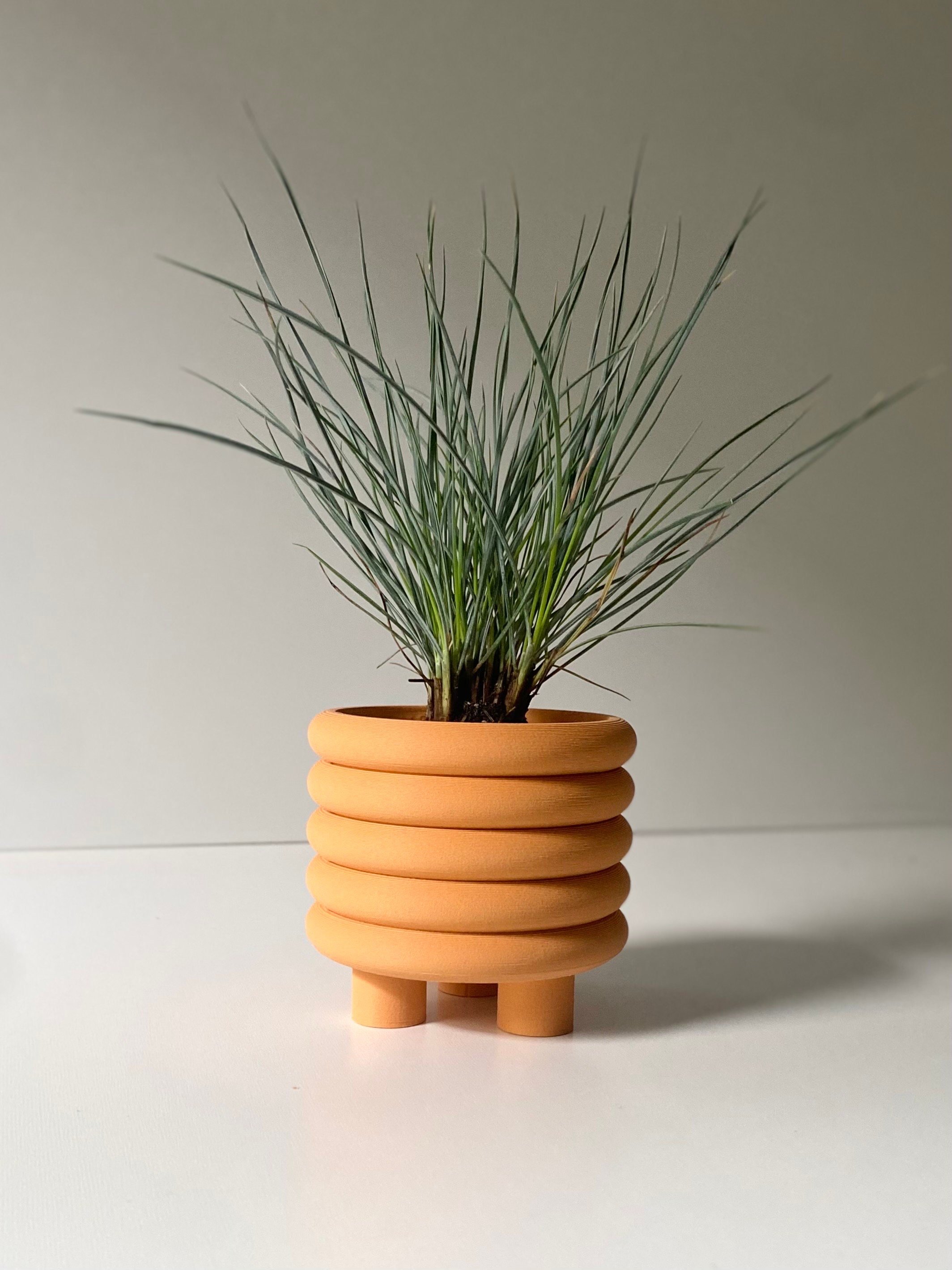 https://i.etsystatic.com/23301702/r/il/0d61ef/5032489119/il_fullxfull.5032489119_ocw6.jpg