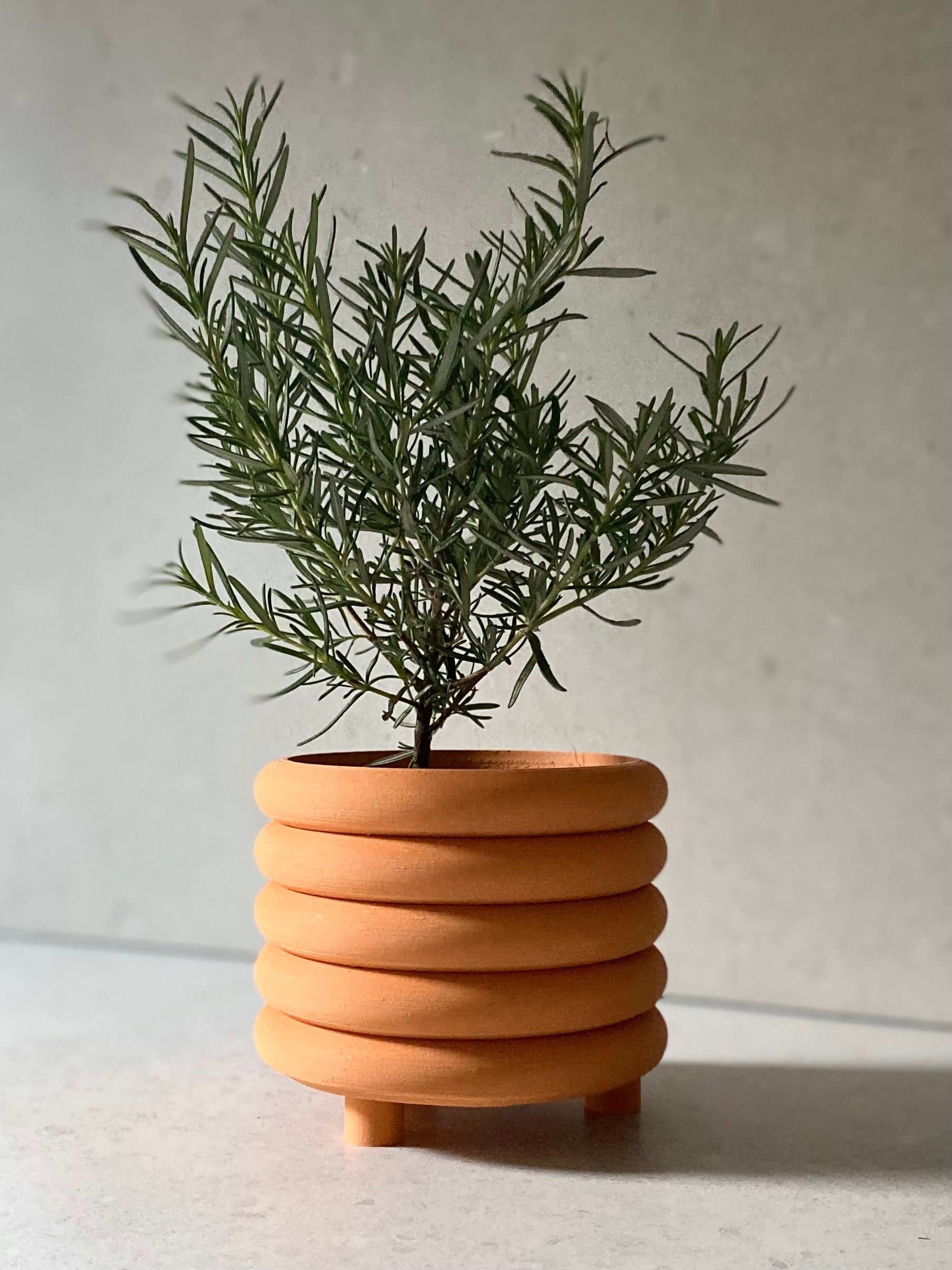 https://i.etsystatic.com/23301702/r/il/ed8fa9/5032489223/il_fullxfull.5032489223_p3fe.jpg