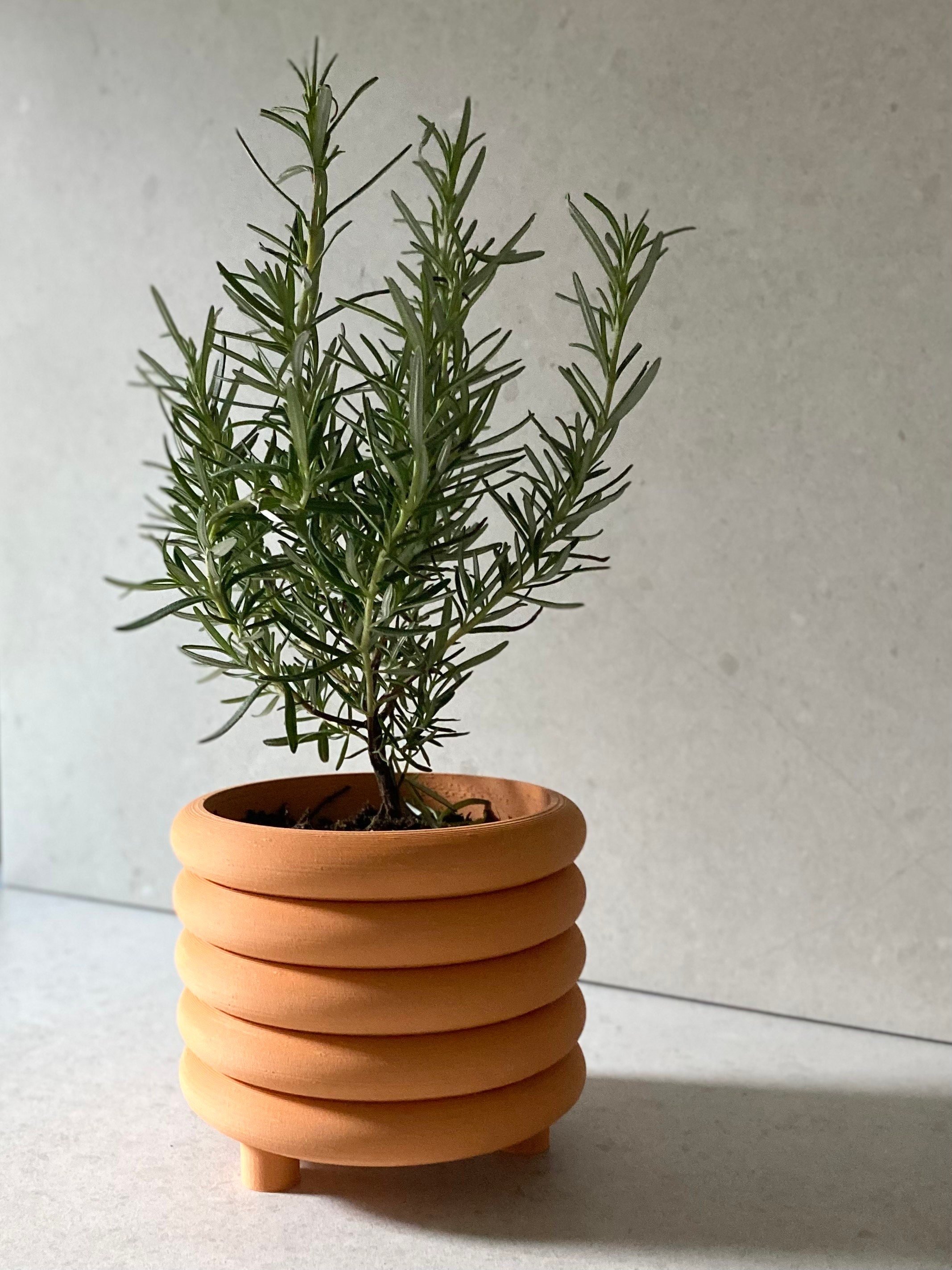 https://i.etsystatic.com/23301702/r/il/e6ad11/5032489241/il_fullxfull.5032489241_7nxw.jpg