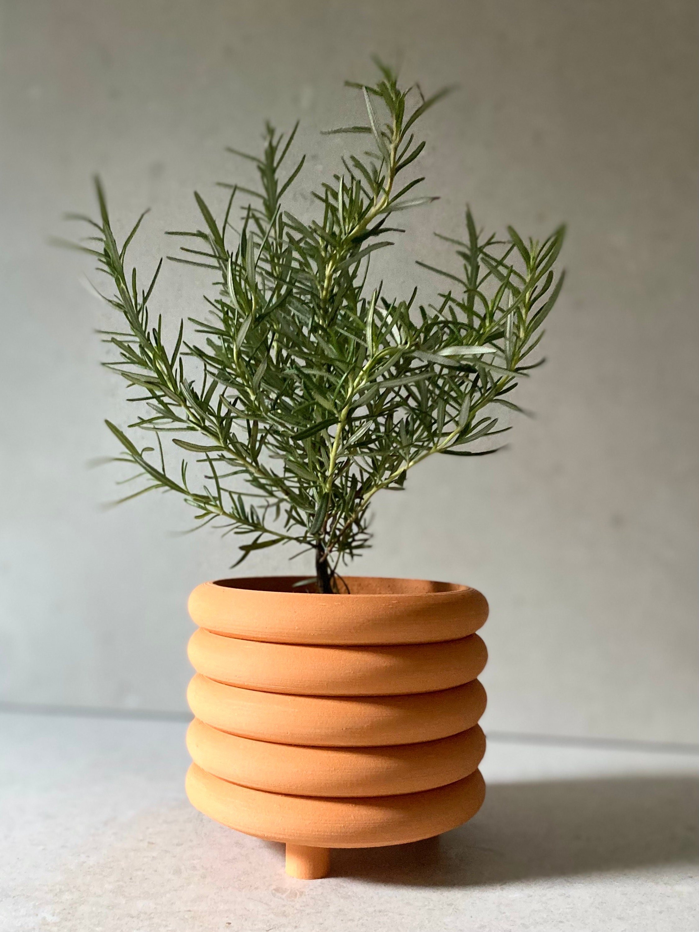 https://i.etsystatic.com/23301702/r/il/ebb2df/4984244006/il_fullxfull.4984244006_ifcq.jpg