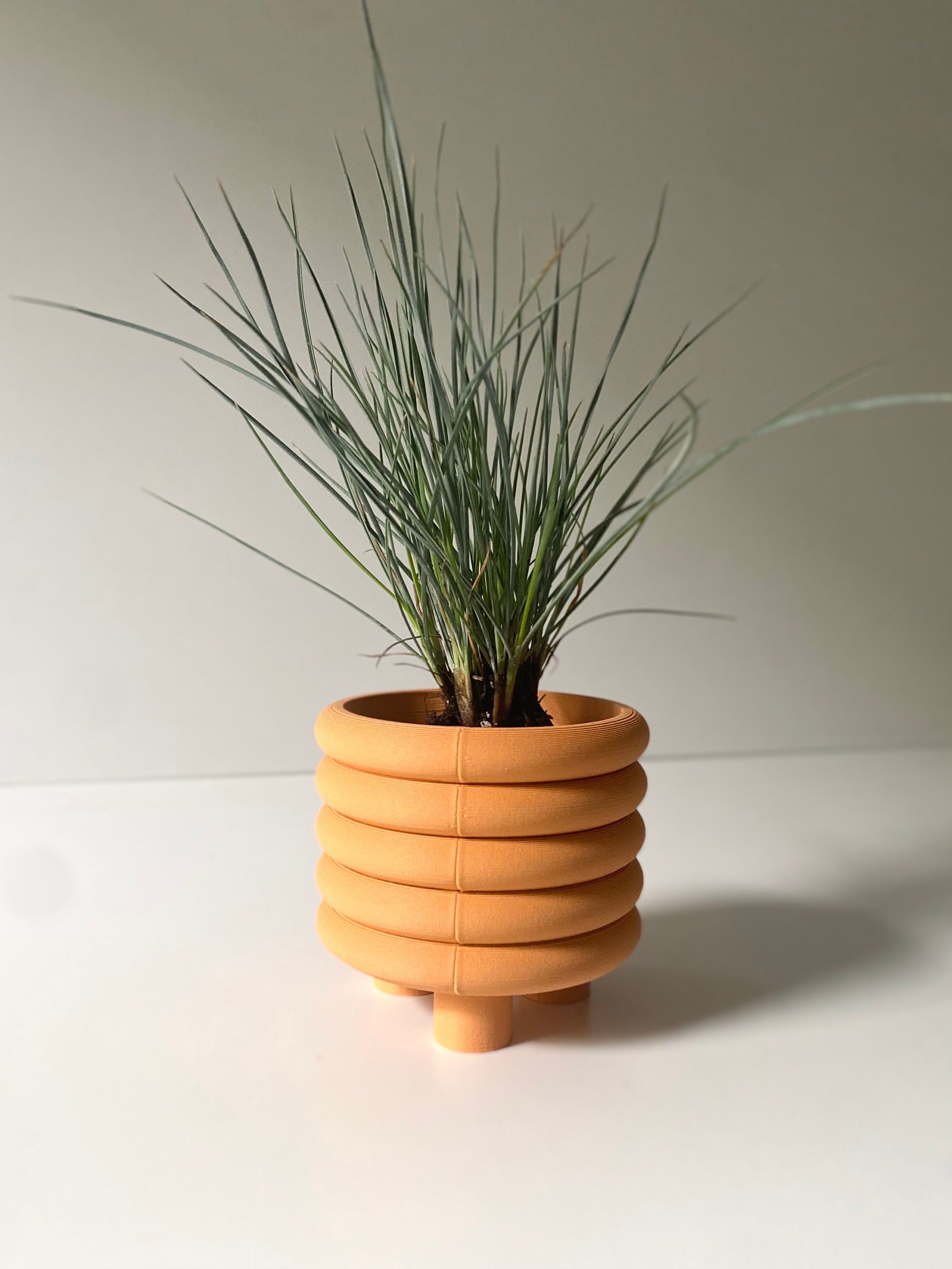 https://i.etsystatic.com/23301702/r/il/c6d0ff/5032489065/il_fullxfull.5032489065_2czy.jpg