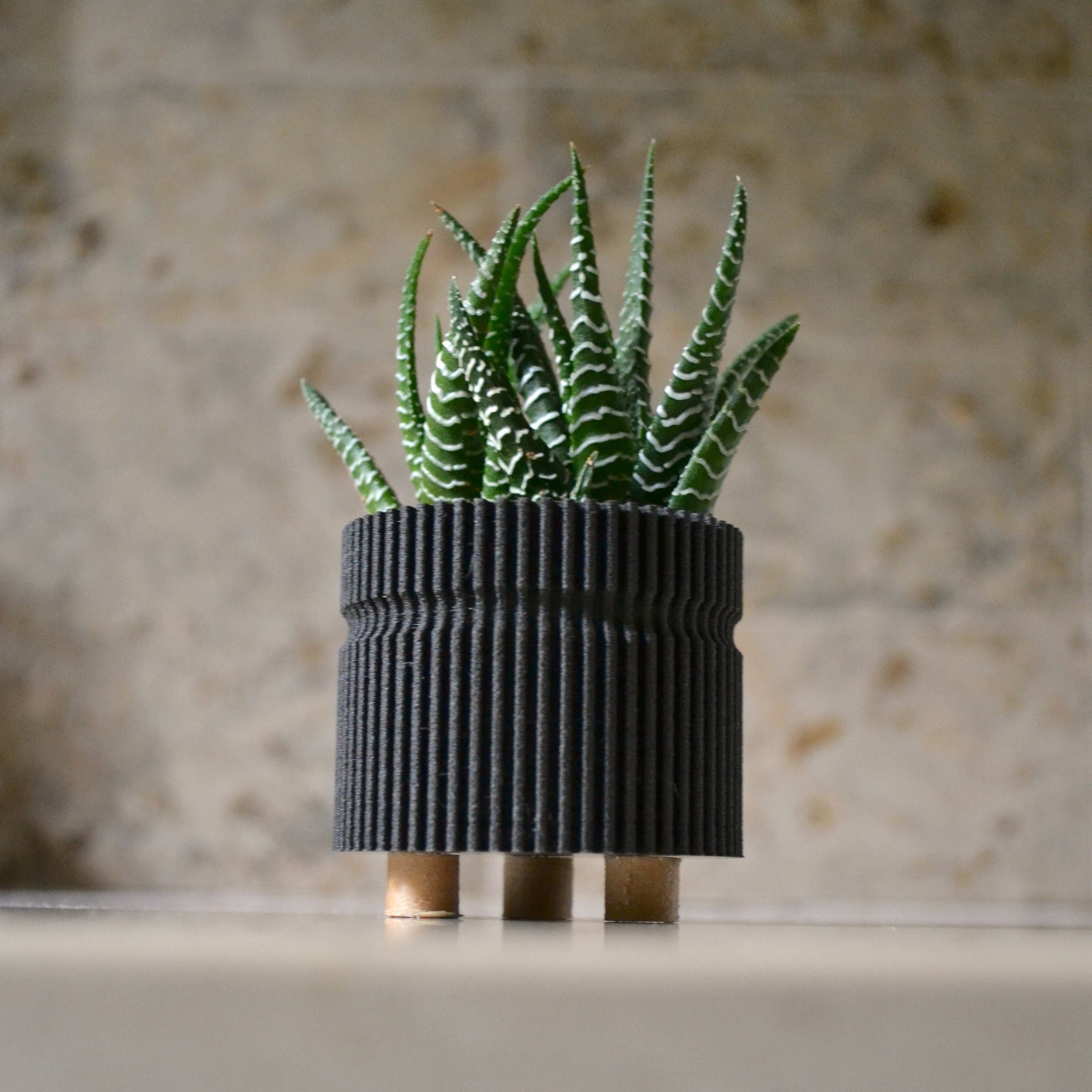 https://i.etsystatic.com/23301702/r/il/4fd393/2573924458/il_fullxfull.2573924458_inco.jpg