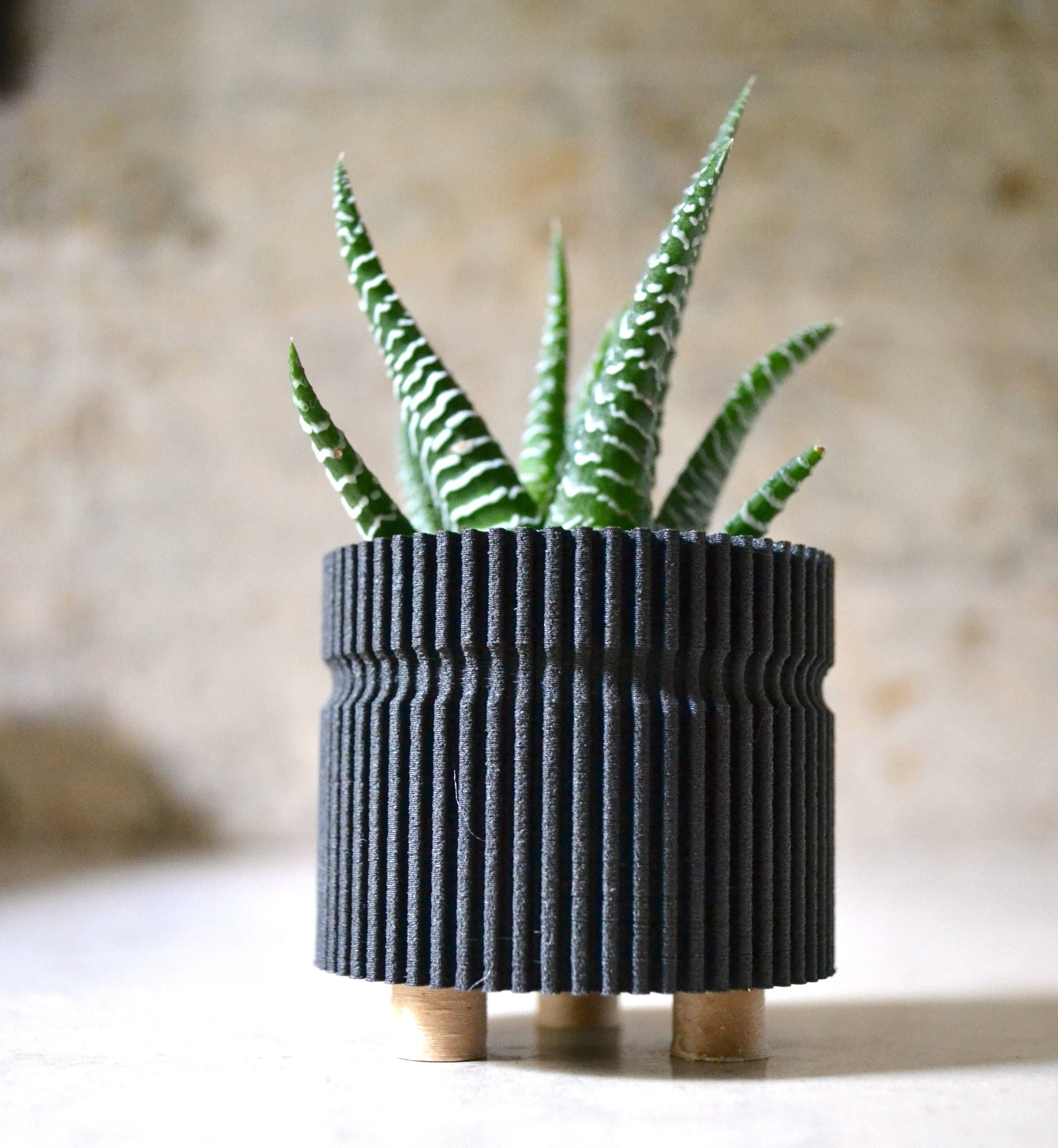 https://i.etsystatic.com/23301702/r/il/fa0182/2621581585/il_fullxfull.2621581585_bm4u.jpg