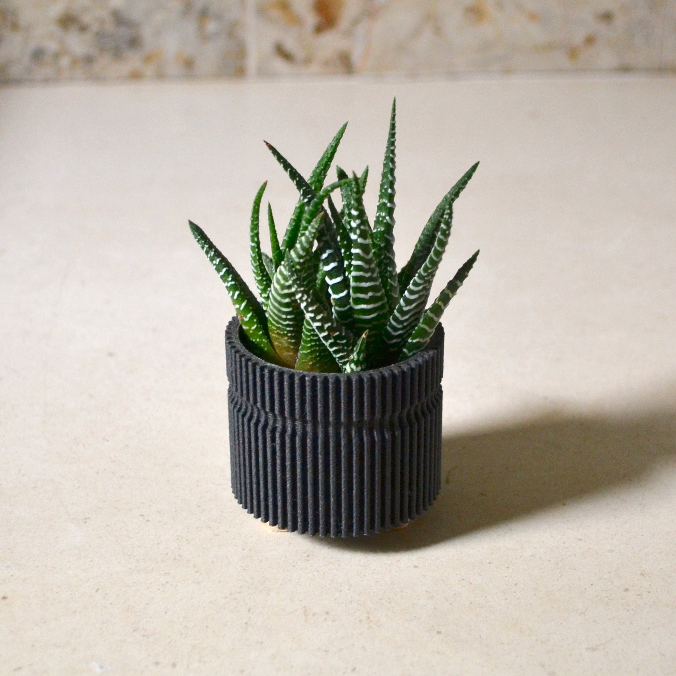 https://i.etsystatic.com/23301702/r/il/f68e94/2573928138/il_fullxfull.2573928138_i6qc.jpg