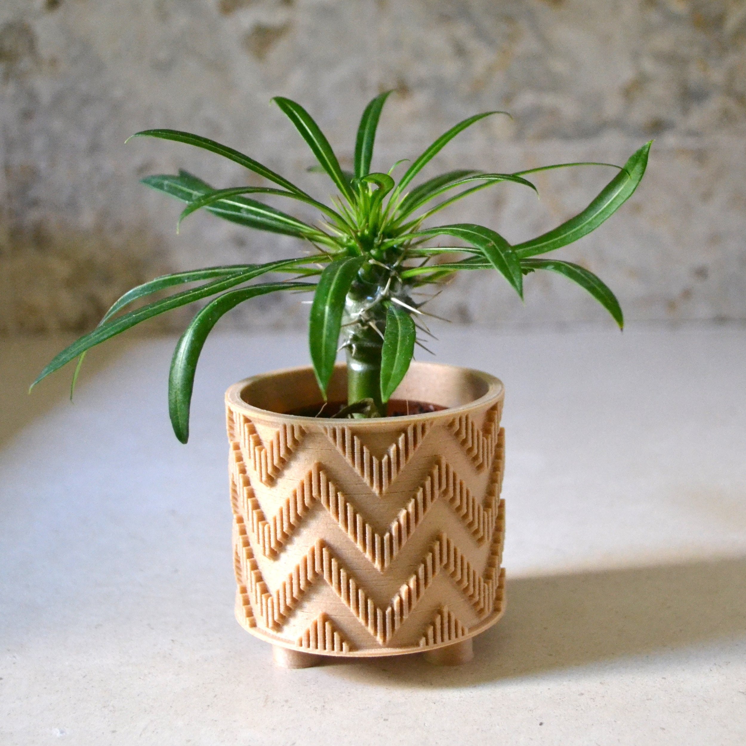https://i.etsystatic.com/23301702/r/il/34d54e/2508843640/il_fullxfull.2508843640_gevf.jpg