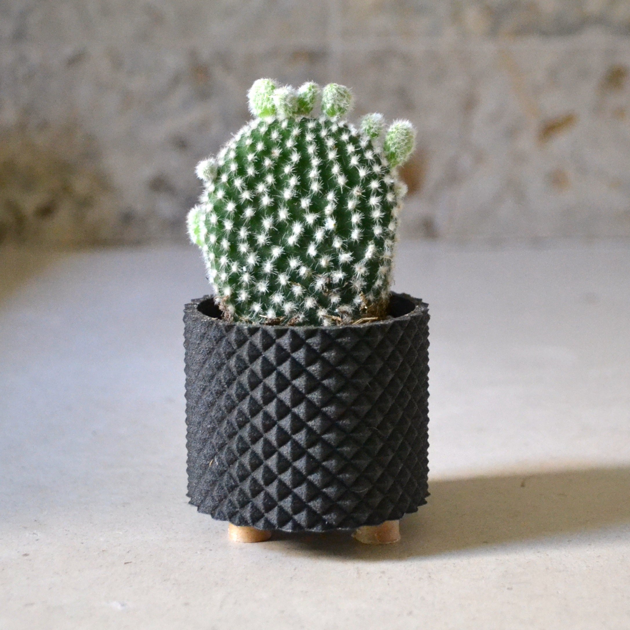 https://i.etsystatic.com/23301702/r/il/fc6705/2556252671/il_fullxfull.2556252671_fwdb.jpg