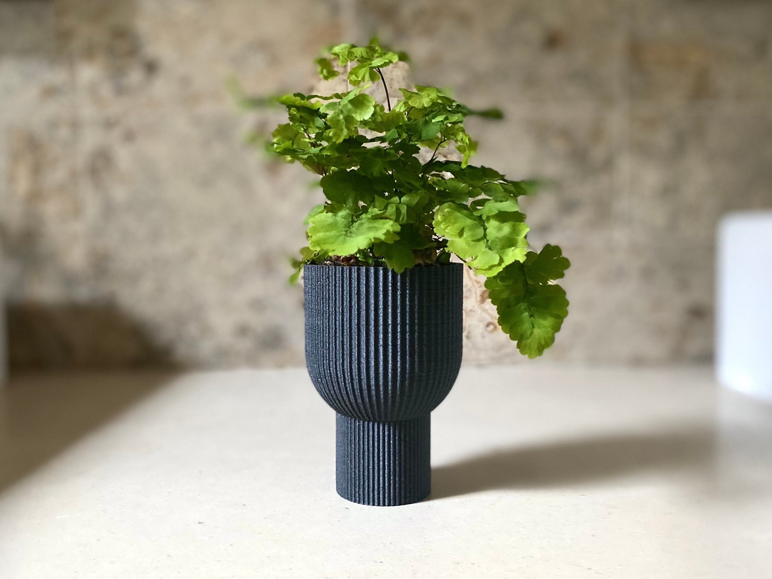 https://i.etsystatic.com/23301702/r/il/167ca0/3593903036/il_fullxfull.3593903036_1xuc.jpg
