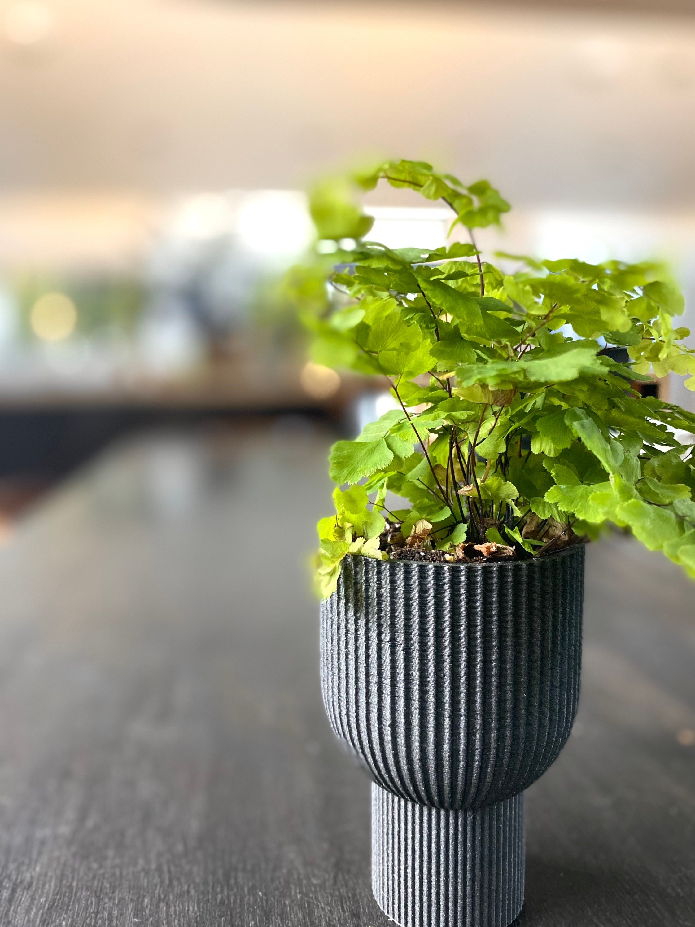 https://i.etsystatic.com/23301702/r/il/9c7ae8/3593898982/il_fullxfull.3593898982_i0r4.jpg