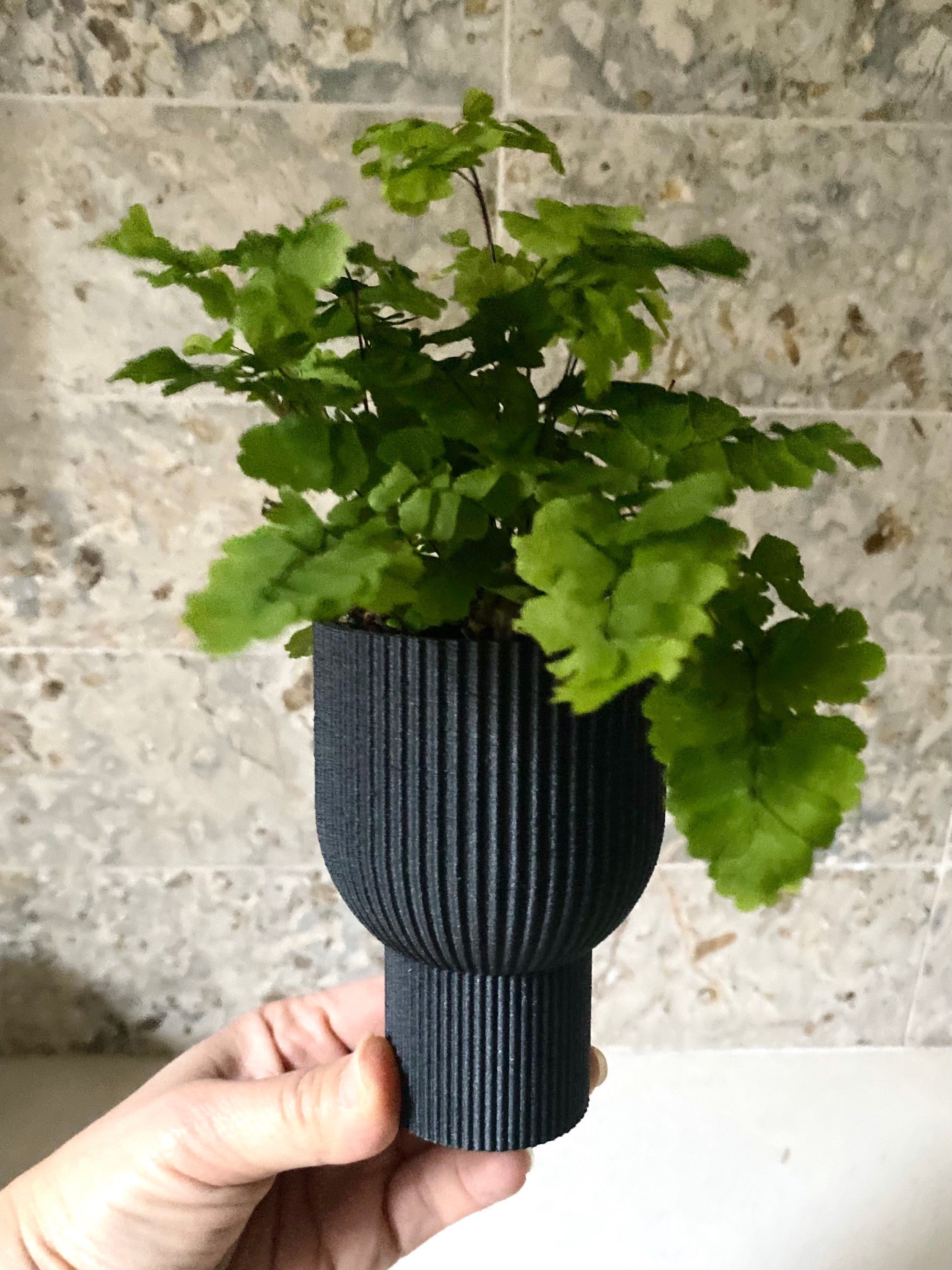 https://i.etsystatic.com/23301702/r/il/71a1bc/3593899004/il_fullxfull.3593899004_hqb5.jpg