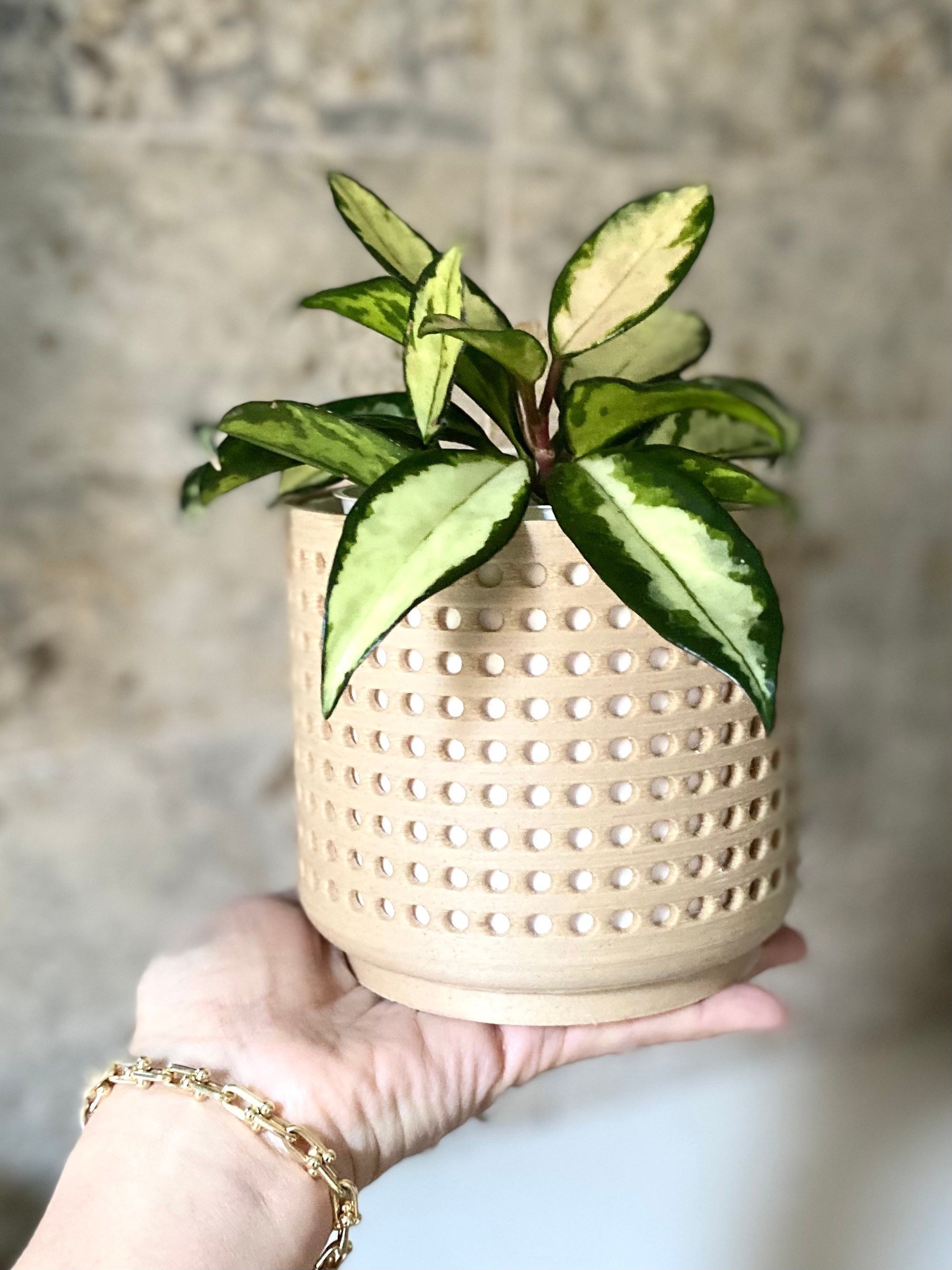 https://i.etsystatic.com/23301702/r/il/ae88b9/3679969409/il_fullxfull.3679969409_38vr.jpg