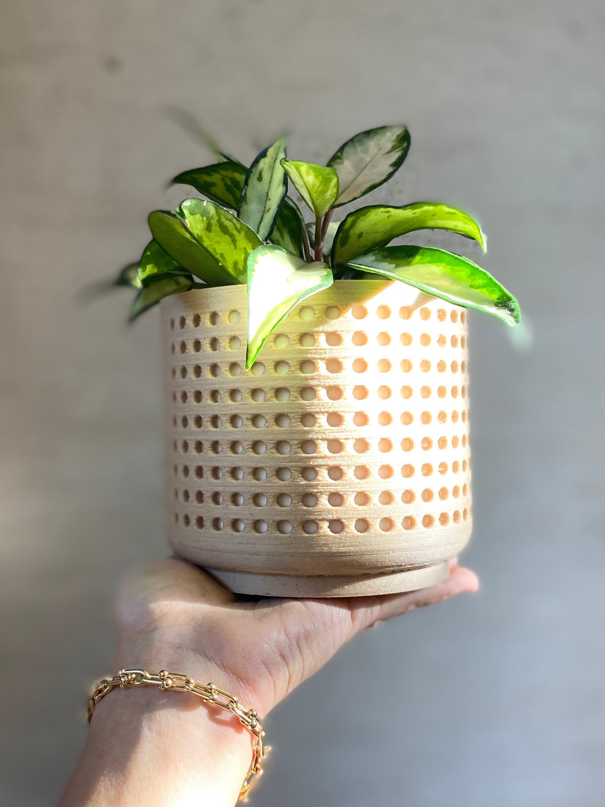 https://i.etsystatic.com/23301702/r/il/f81011/3679969547/il_fullxfull.3679969547_ec4m.jpg