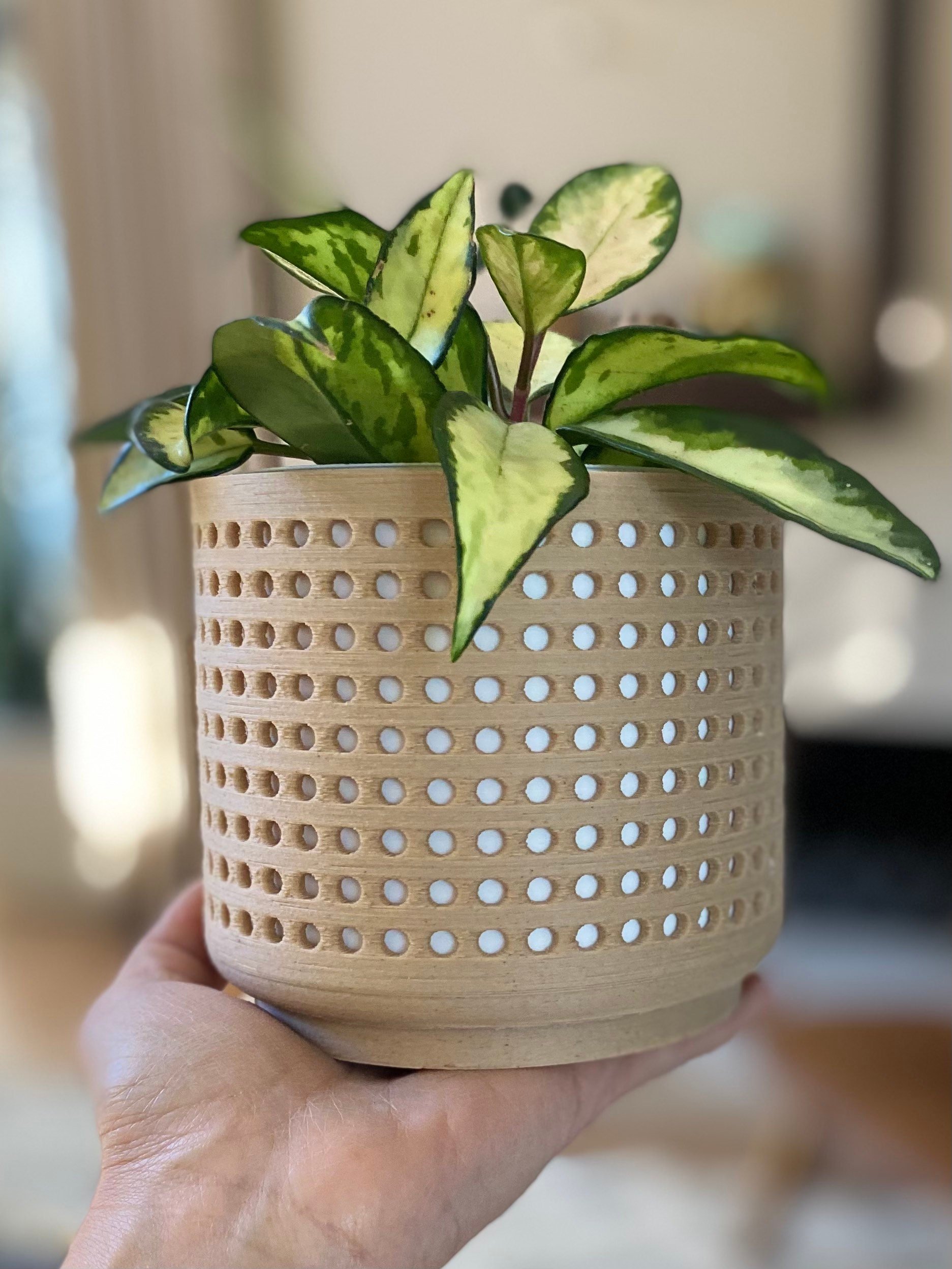 https://i.etsystatic.com/23301702/r/il/8cbd6b/3679969667/il_fullxfull.3679969667_vdzy.jpg