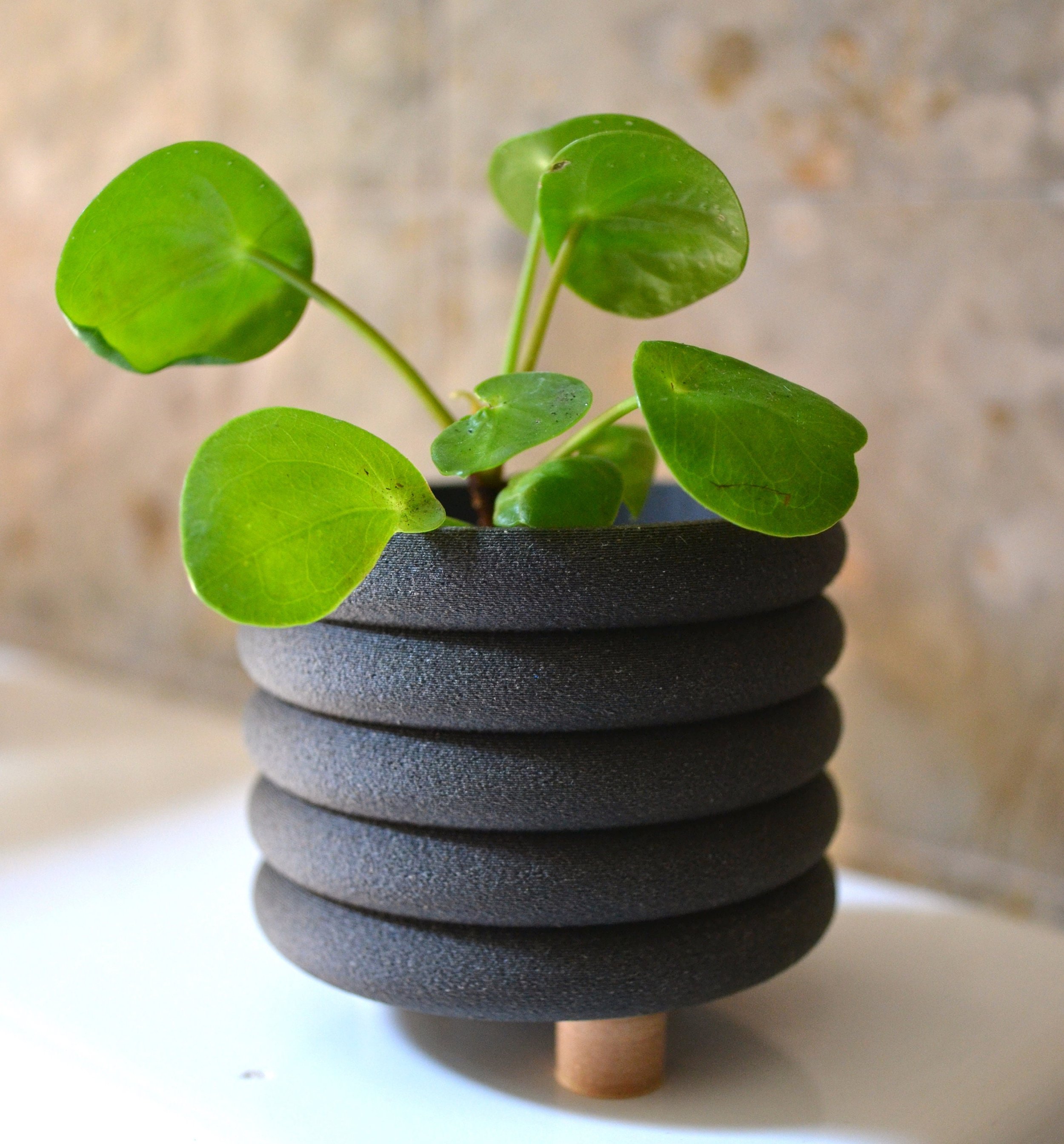 https://i.etsystatic.com/23301702/r/il/d8975f/3587603758/il_fullxfull.3587603758_4y56.jpg