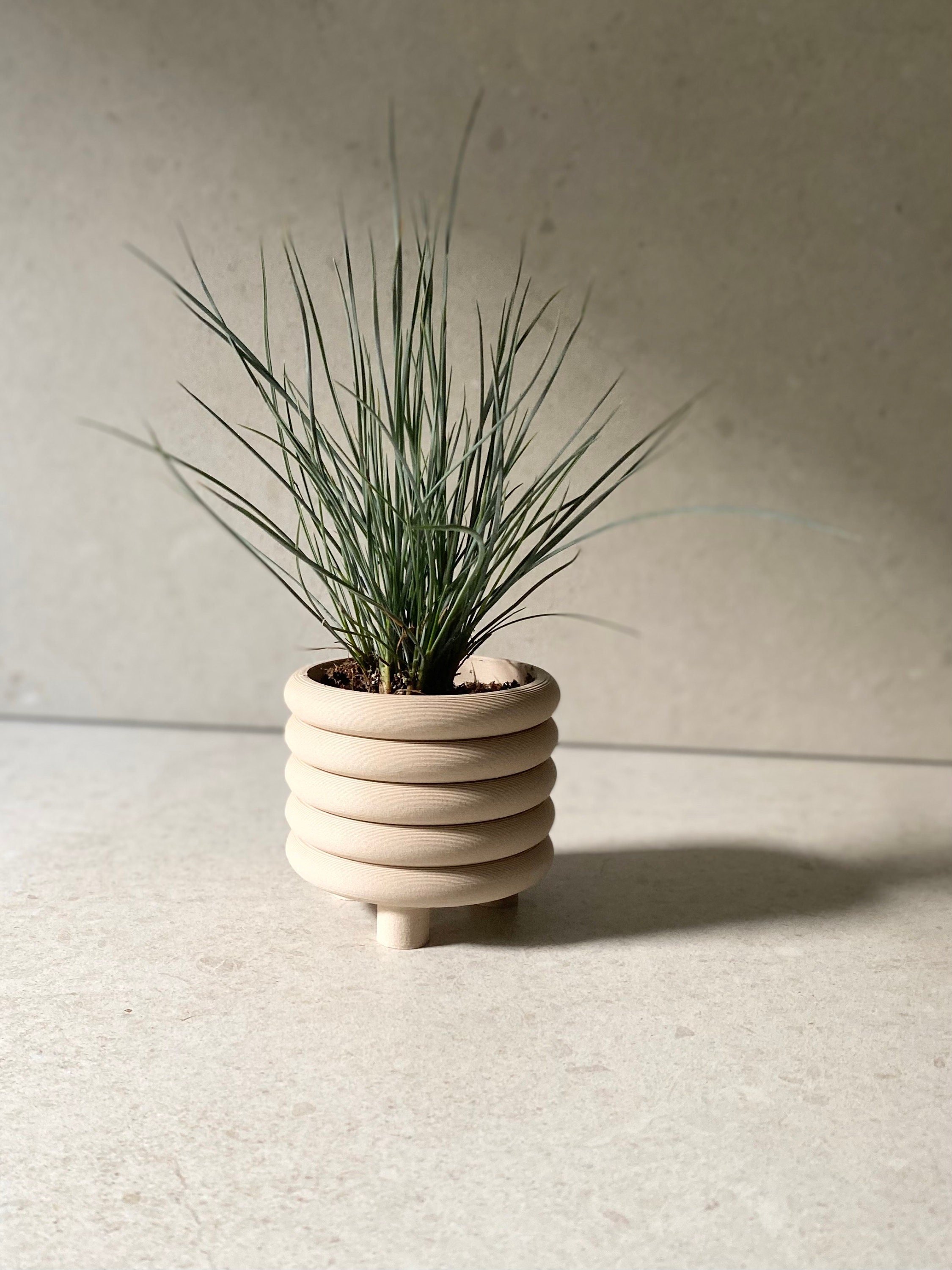 https://i.etsystatic.com/23301702/r/il/2ae290/4984227470/il_fullxfull.4984227470_ratl.jpg