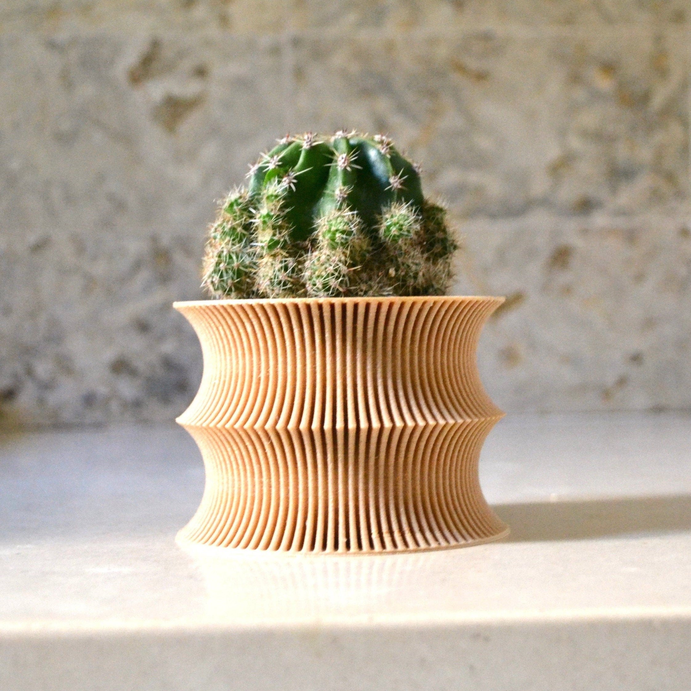 https://i.etsystatic.com/23301702/r/il/d10e23/2510122208/il_fullxfull.2510122208_giie.jpg