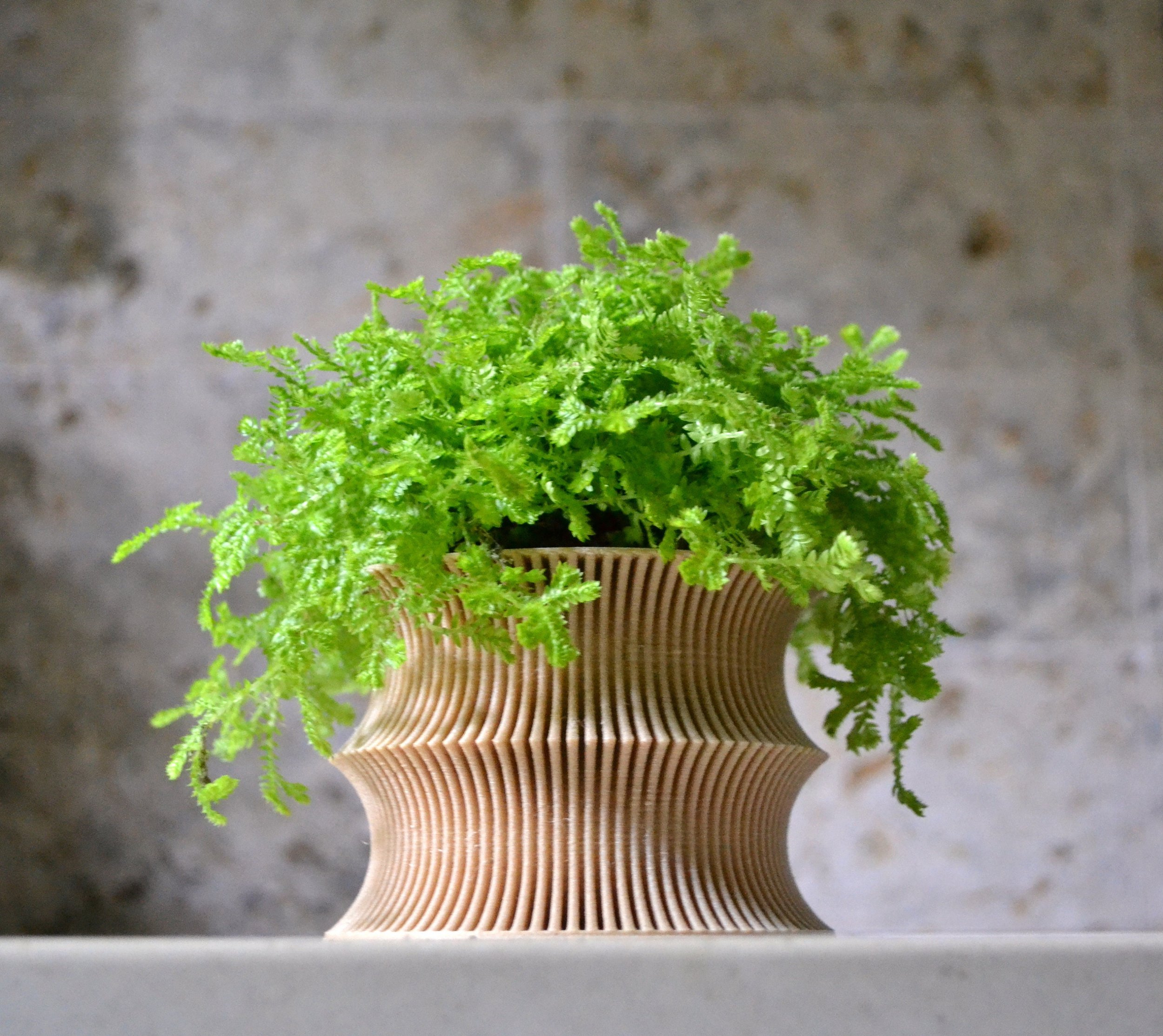 https://i.etsystatic.com/23301702/r/il/0ae0aa/2557206522/il_fullxfull.2557206522_6jb4.jpg