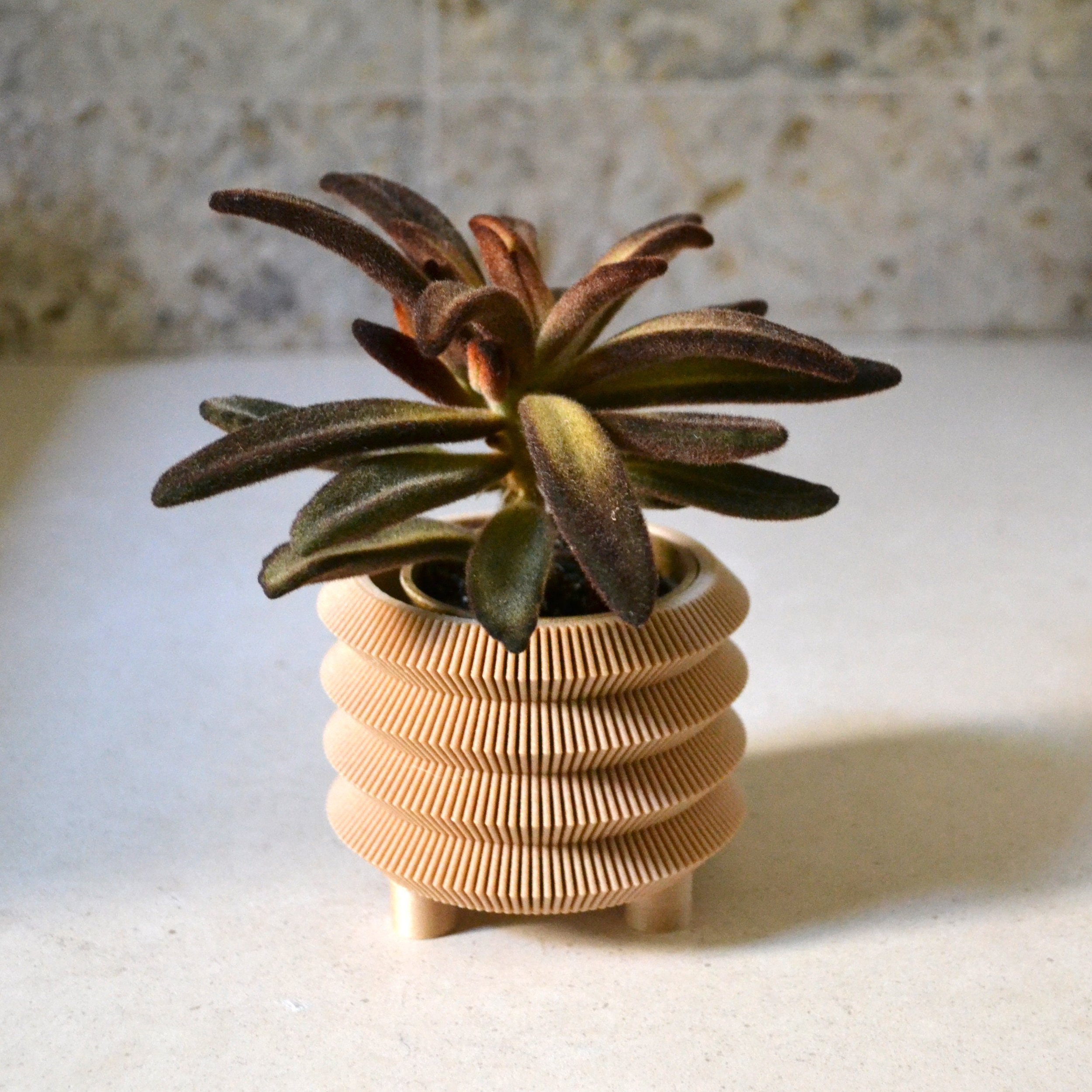 https://i.etsystatic.com/23301702/r/il/066154/2556478897/il_fullxfull.2556478897_lh4k.jpg