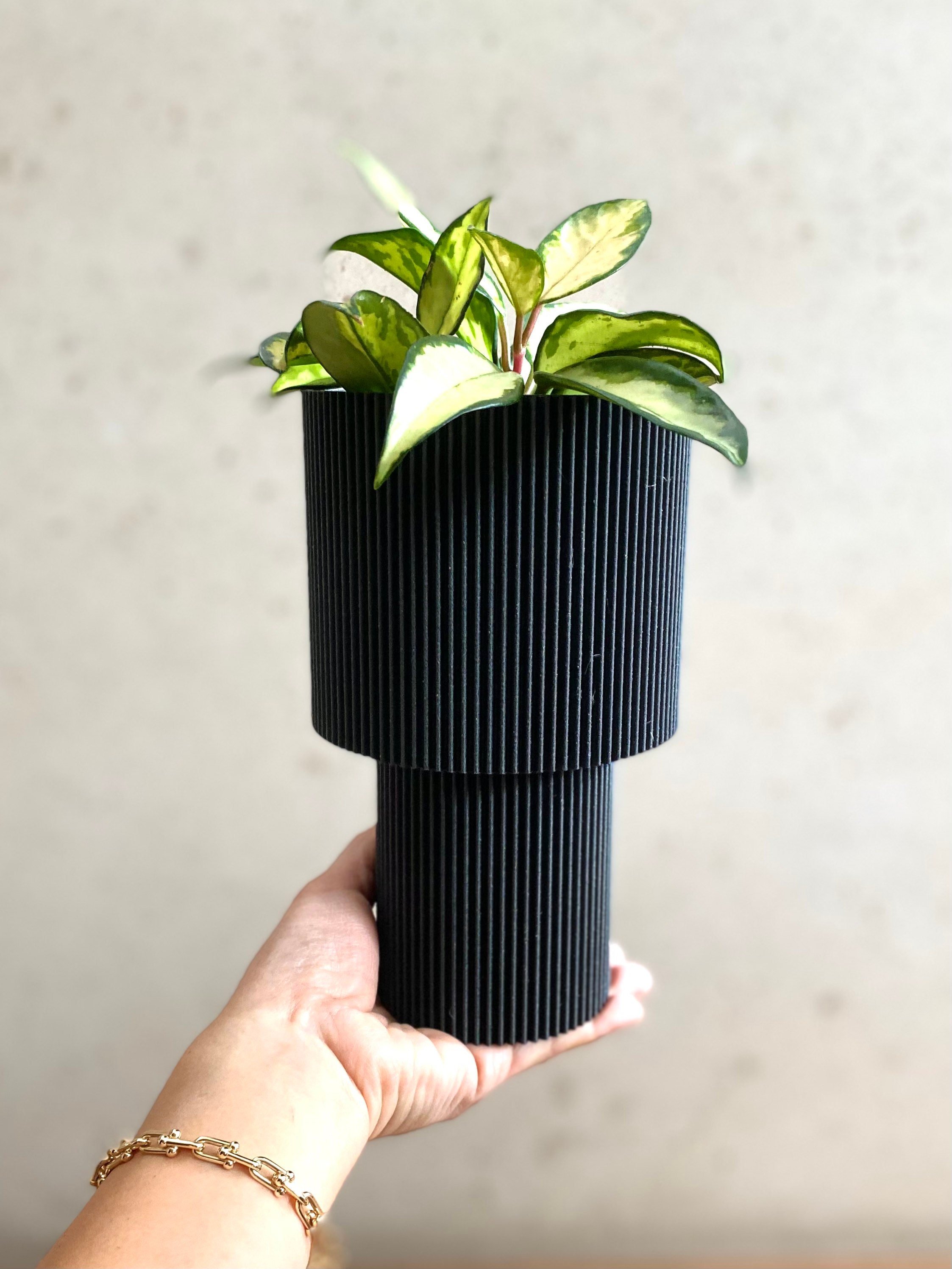 https://i.etsystatic.com/23301702/r/il/03e9dd/3648775927/il_fullxfull.3648775927_okq0.jpg