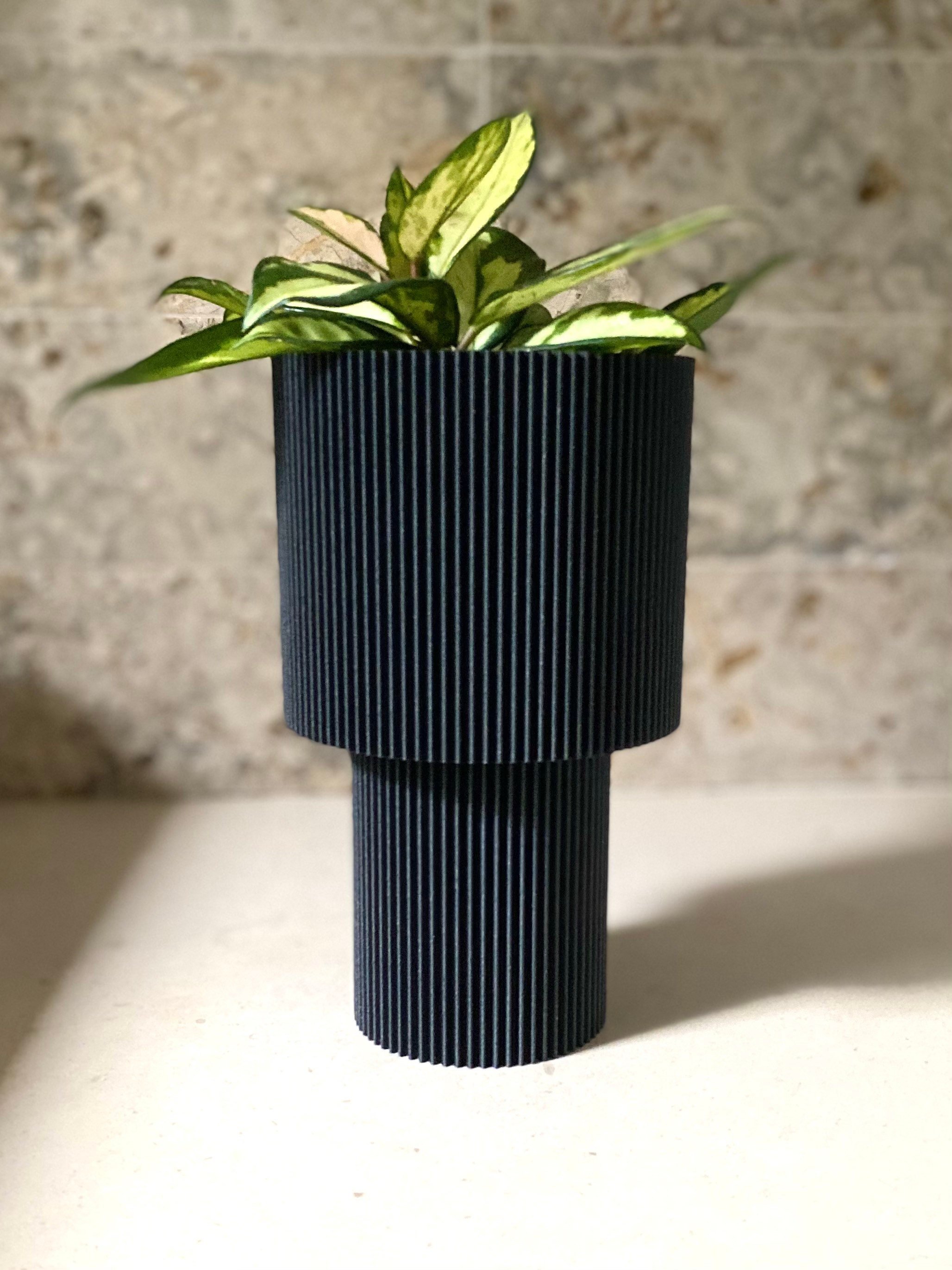 https://i.etsystatic.com/23301702/r/il/cd8e98/3601154192/il_fullxfull.3601154192_lqqn.jpg