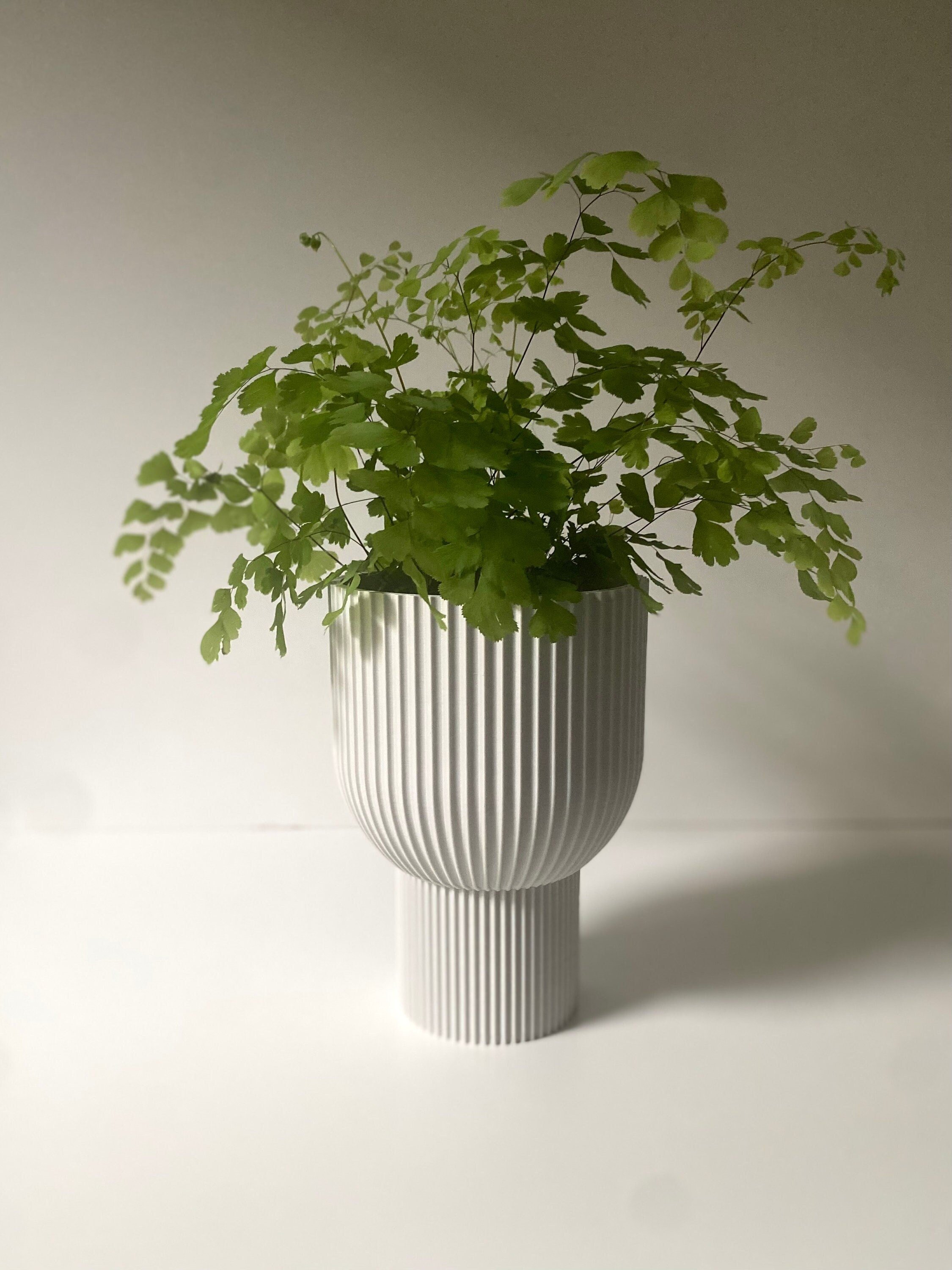 https://i.etsystatic.com/23301702/r/il/0ca5e2/4984078616/il_fullxfull.4984078616_cscc.jpg