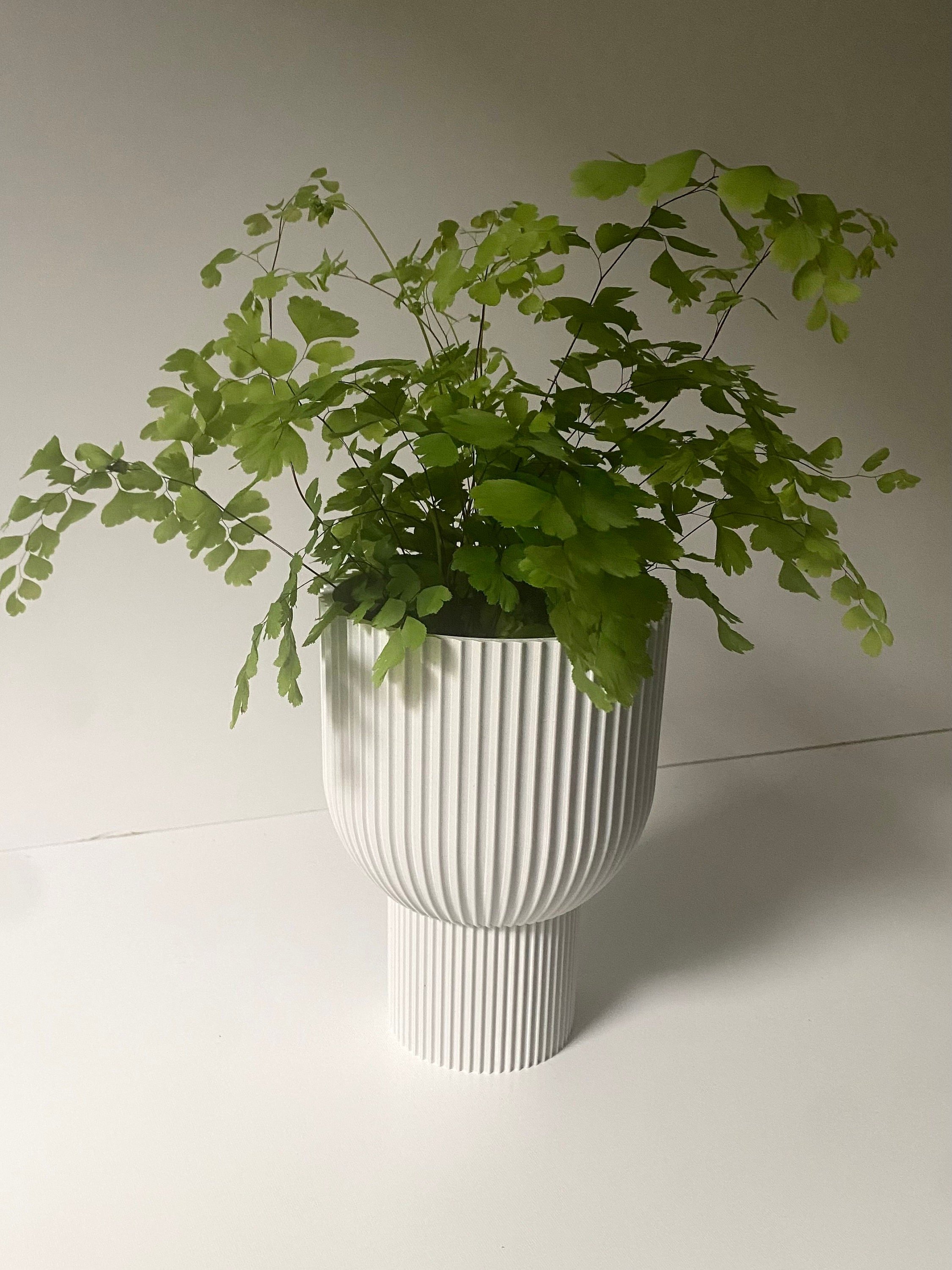 https://i.etsystatic.com/23301702/r/il/a31179/5032289465/il_fullxfull.5032289465_aih5.jpg