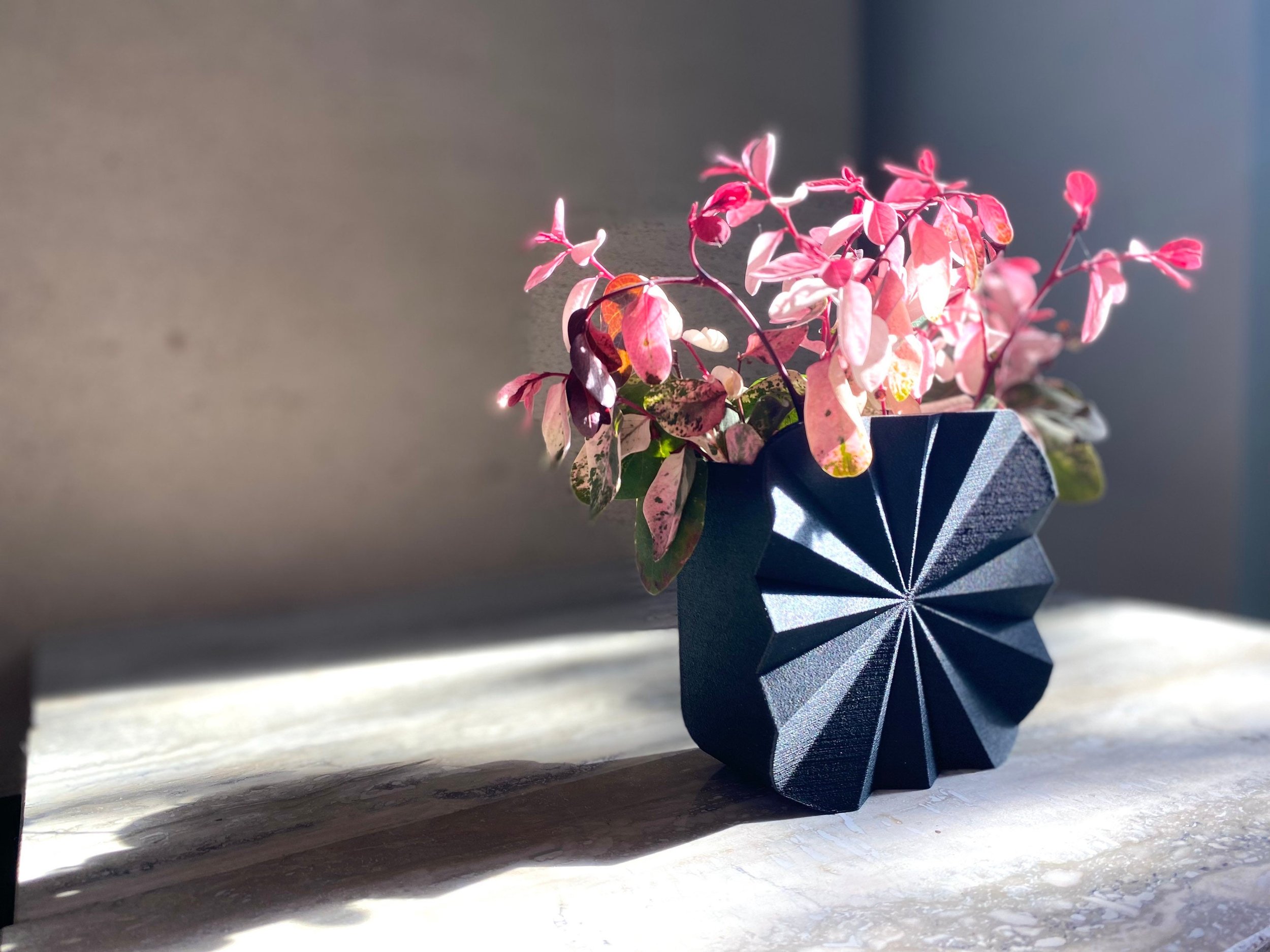 https://i.etsystatic.com/23301702/r/il/de6063/3478860339/il_fullxfull.3478860339_cr8k.jpg