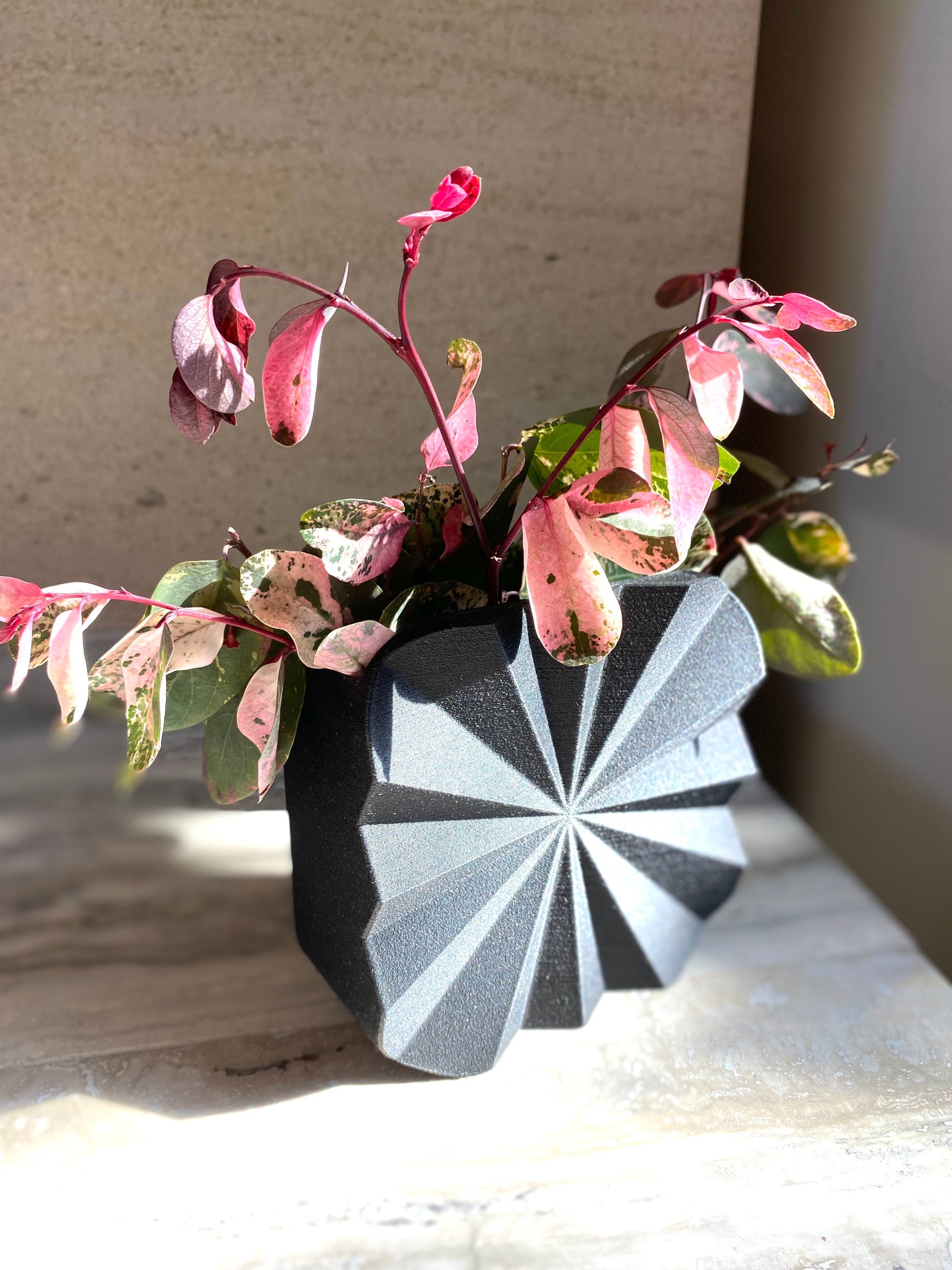 https://i.etsystatic.com/23301702/r/il/69d0b6/3478860443/il_fullxfull.3478860443_qfoc.jpg