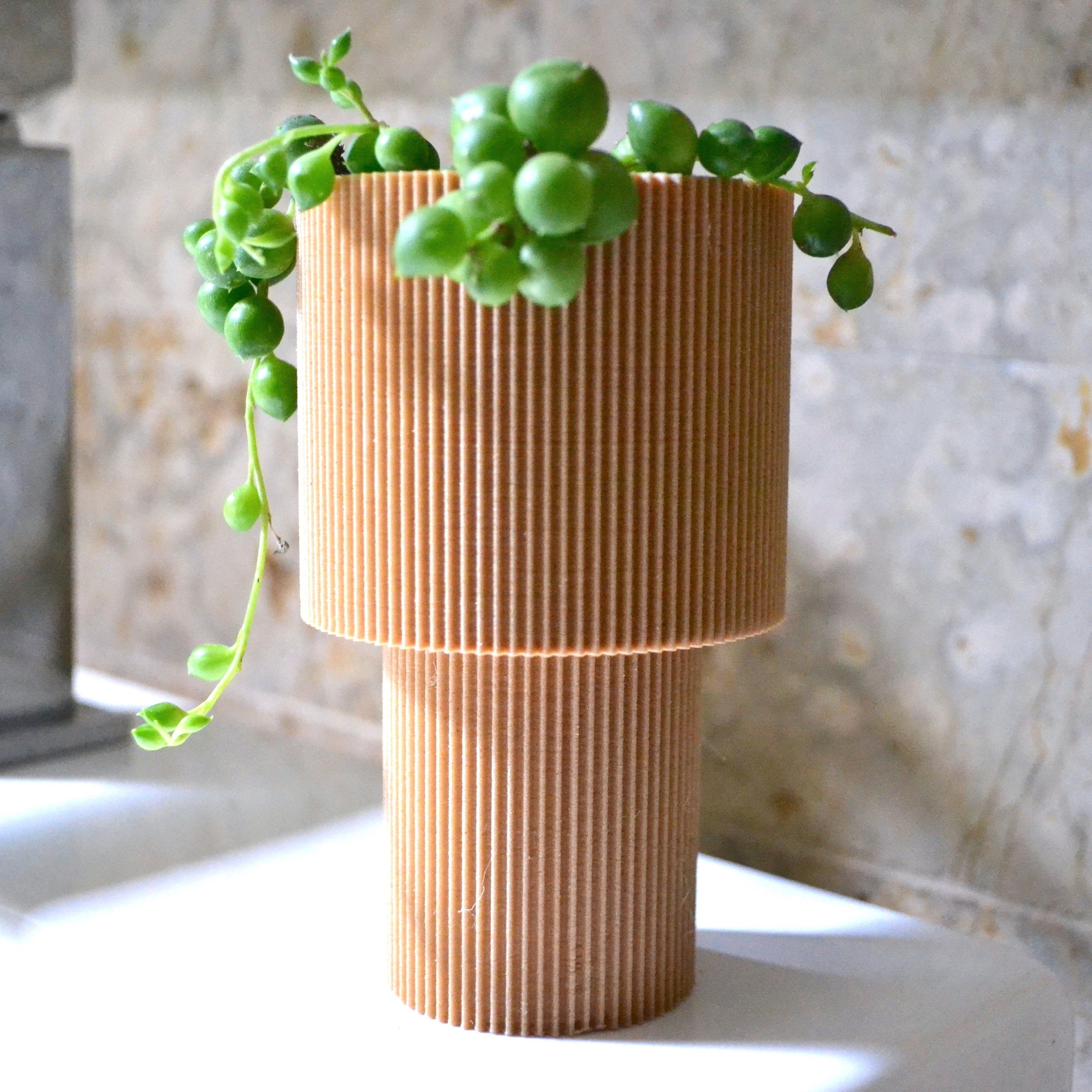 https://i.etsystatic.com/23301702/r/il/6ec4e3/5234665314/il_fullxfull.5234665314_t1j1.jpg
