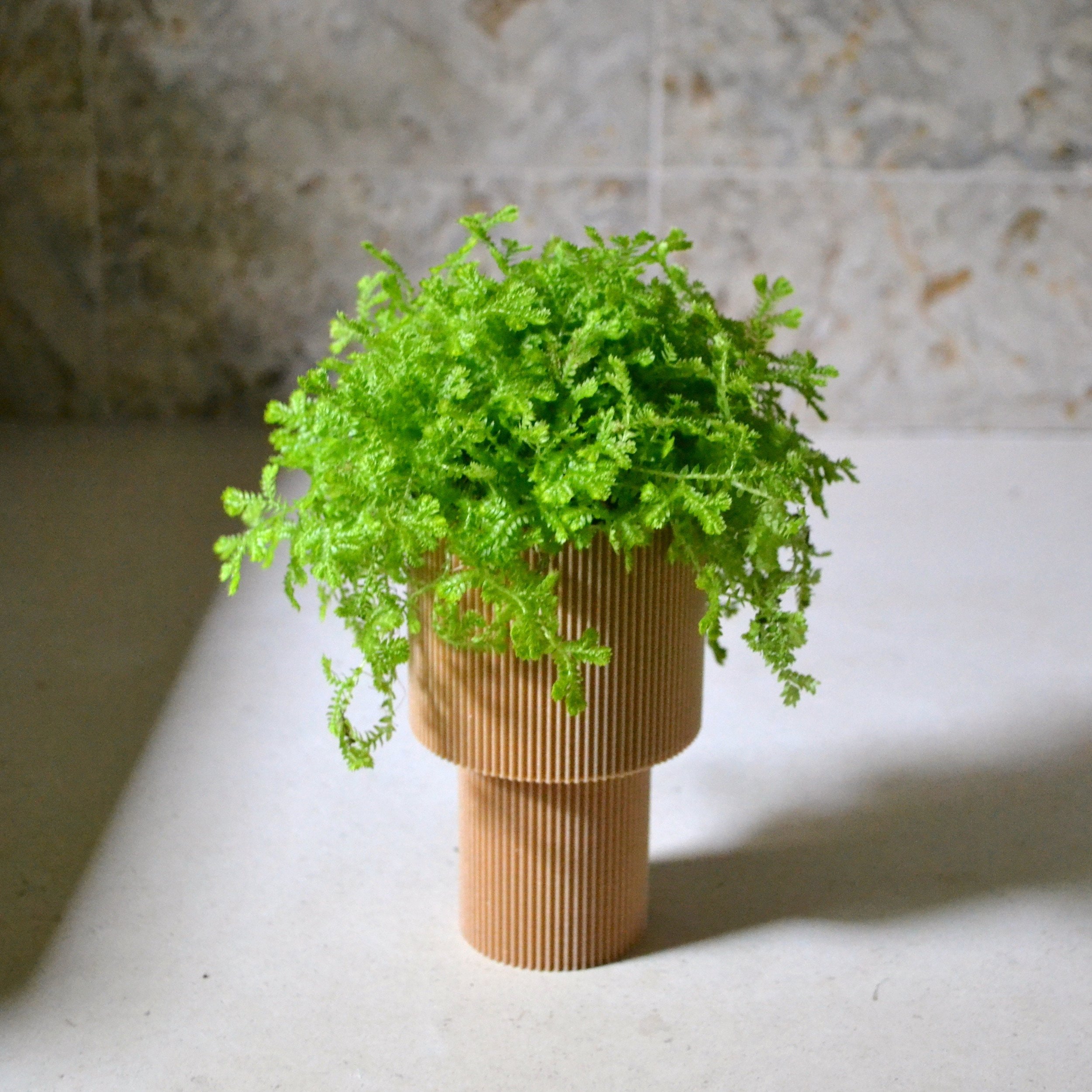 https://i.etsystatic.com/23301702/r/il/f9d6f3/5282856707/il_fullxfull.5282856707_b4pa.jpg
