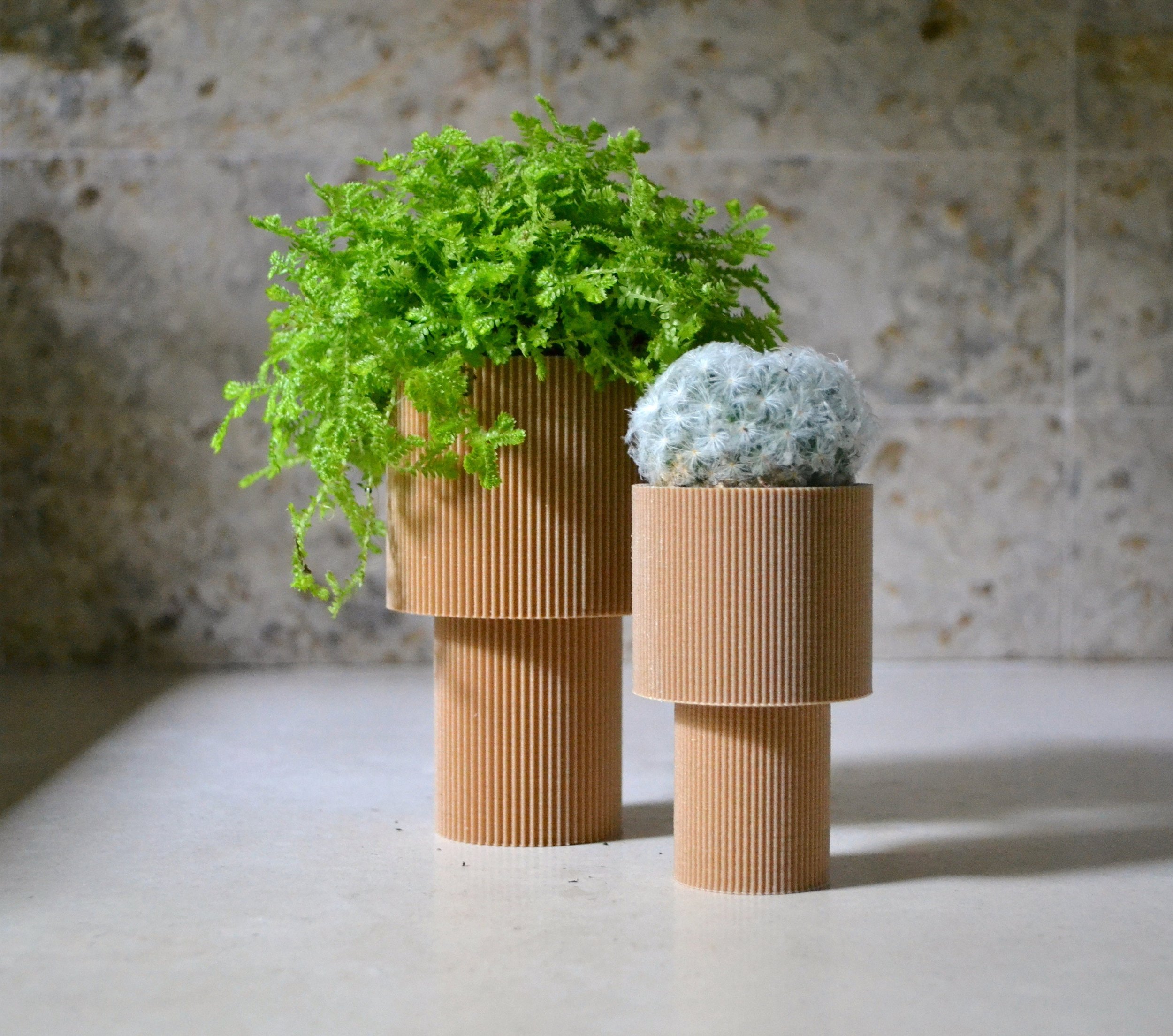 https://i.etsystatic.com/23301702/r/il/adfcd3/5282856567/il_fullxfull.5282856567_lph4.jpg
