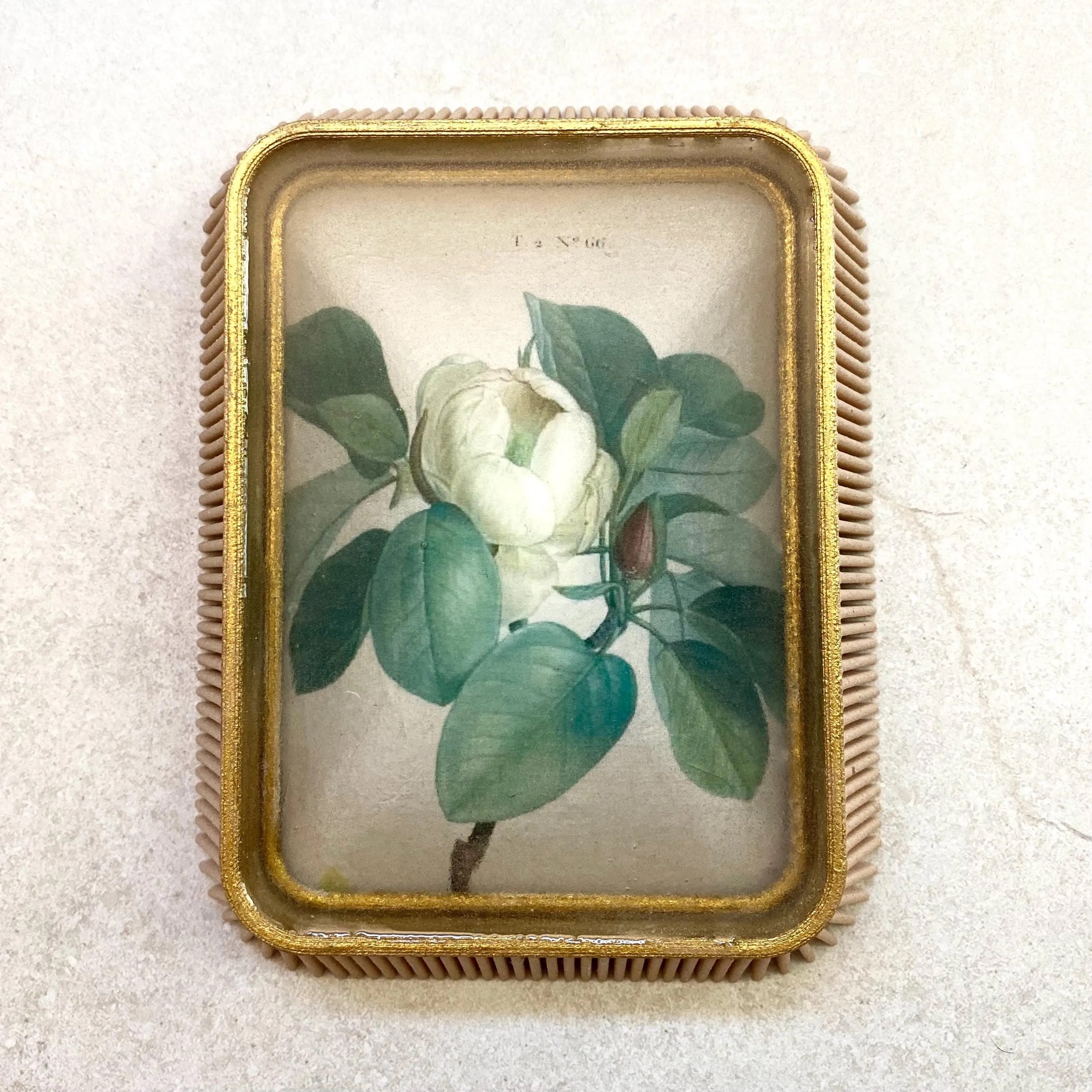 Magnolia 8.jpg