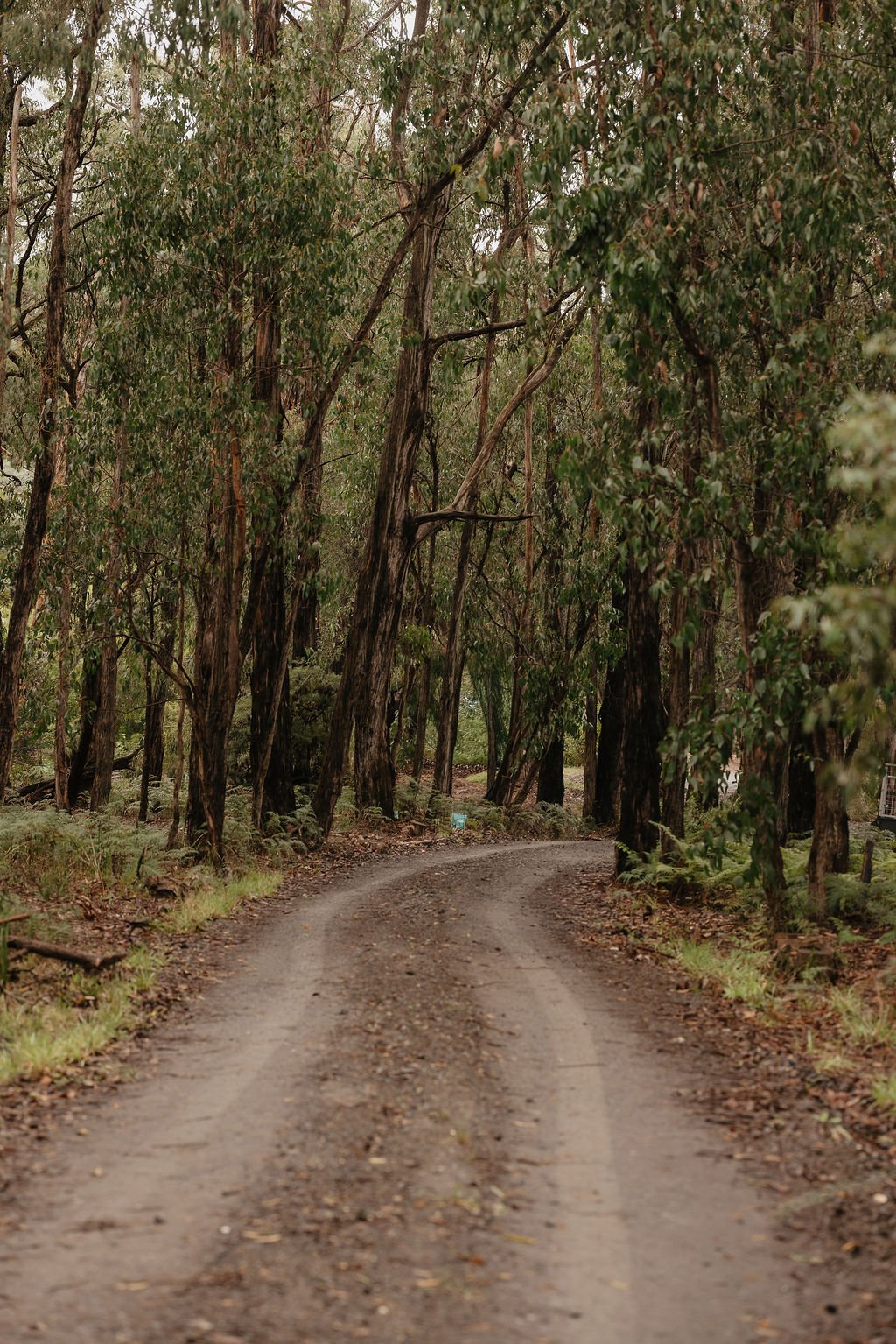 MorganLee-Koowarra-2.jpg