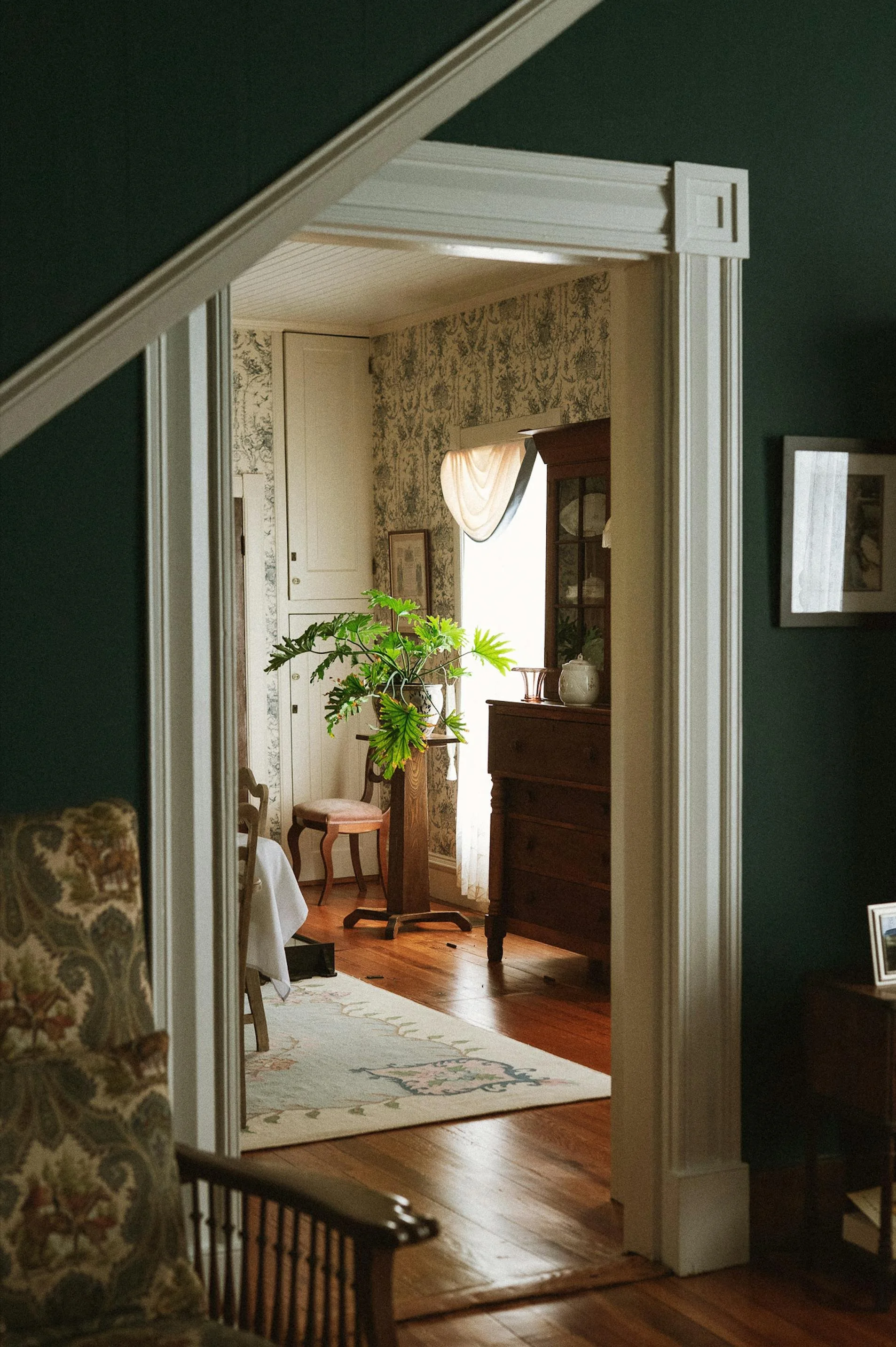 Simple Spring Refresh Ideas for your home (And How to Use Them)