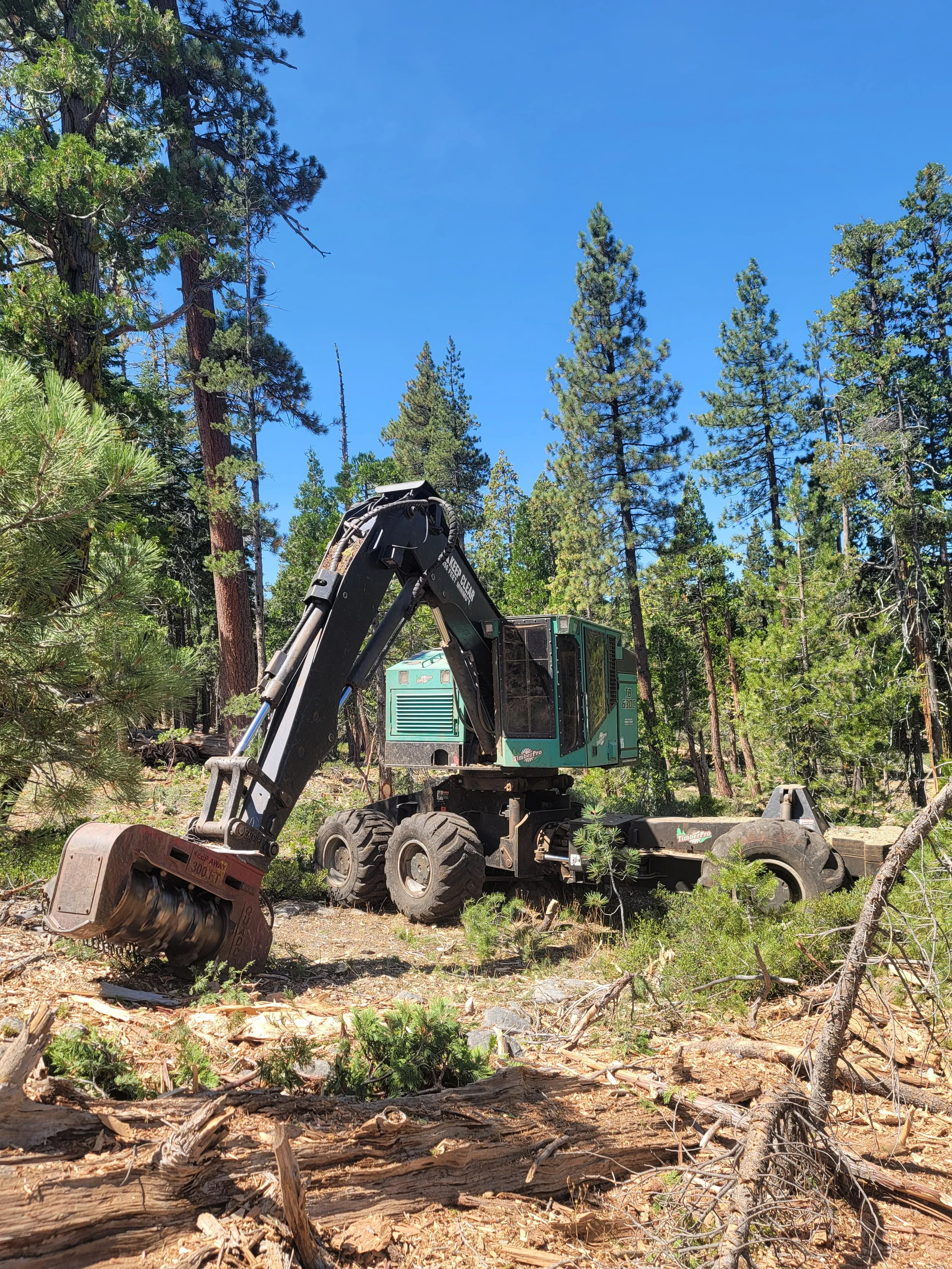 A forest scene with tall pine trees and a clear blue sky. In the foreground, there is a piece of heavy machinery, likely a wood chipper or mulcher, used for processing fallen trees and branches.