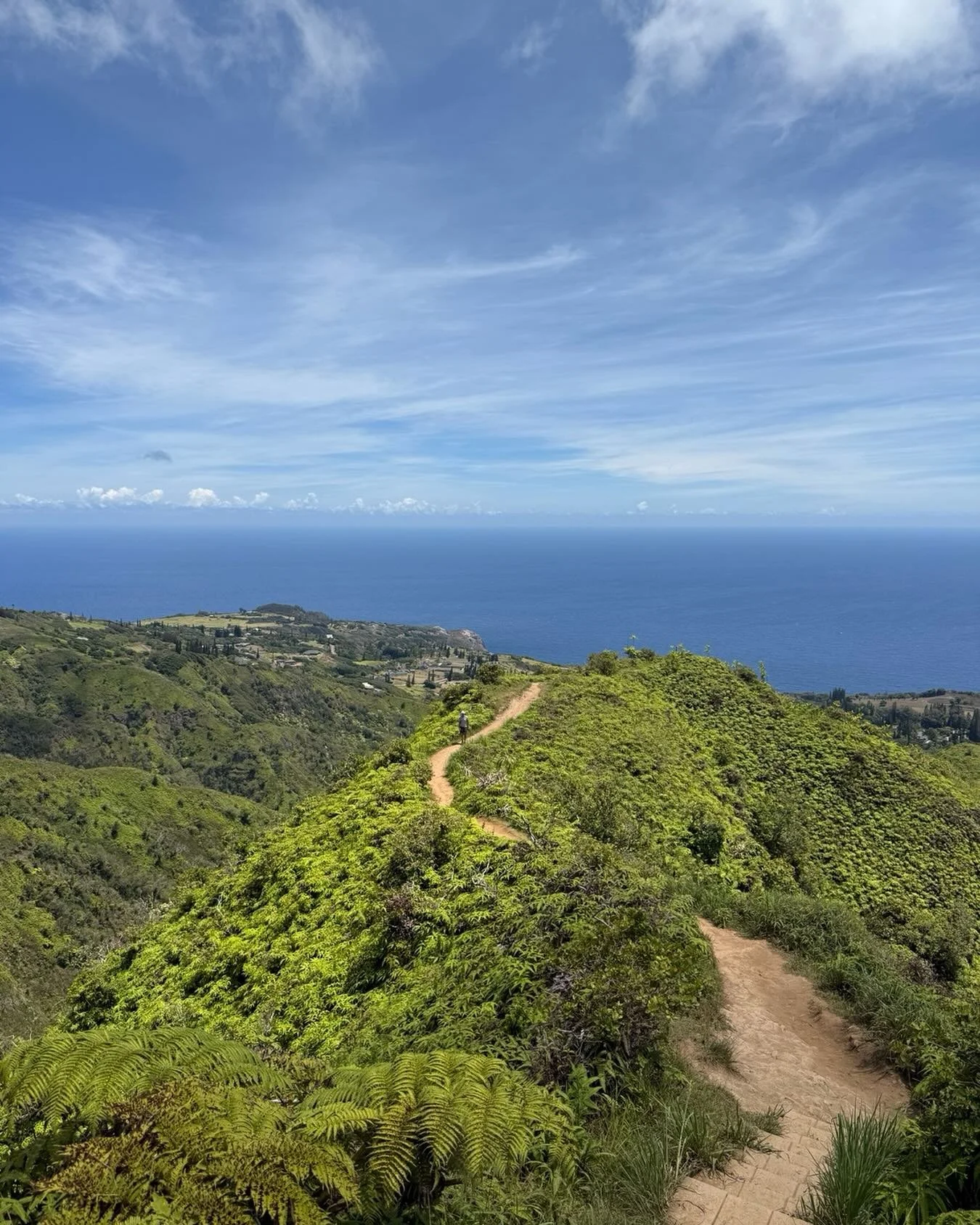 High above Maui&rsquo;s northern coast, the Waihe&lsquo;e Ridge Trail unfolds like a quiet revelation &mdash; lush, windswept, and endlessly alive.

The path climbs through emerald valleys and cloud-kissed ridgelines, where the ocean stretches wide a
