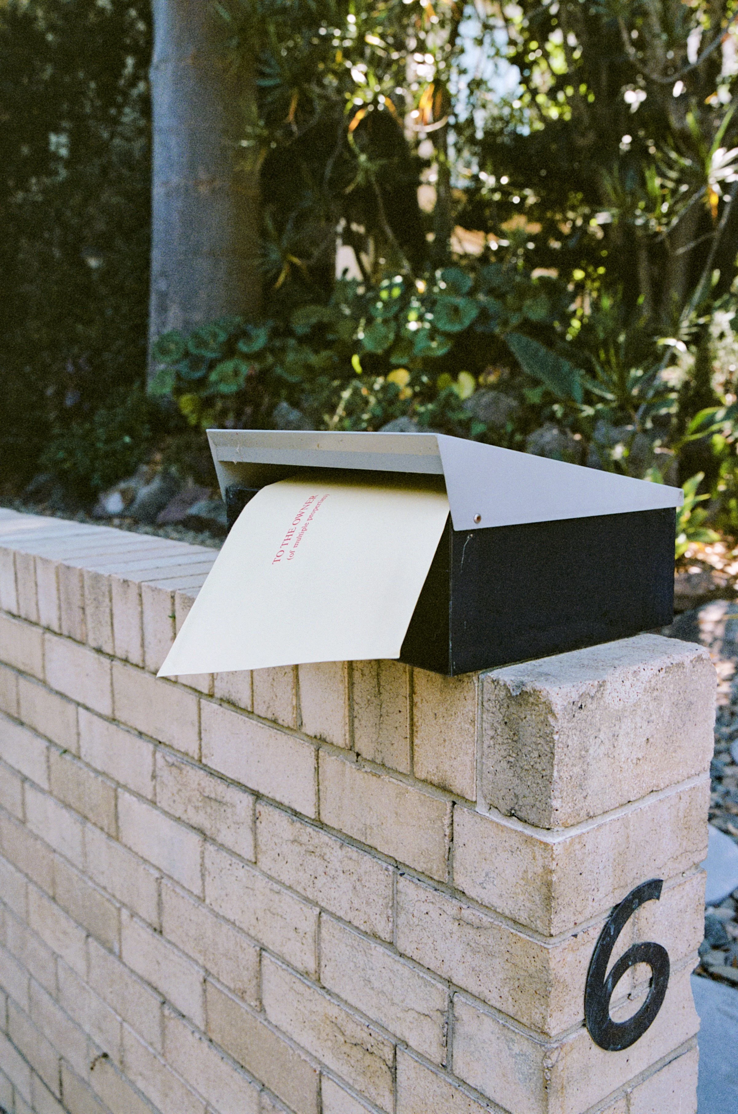 photo by Ben Lindberg