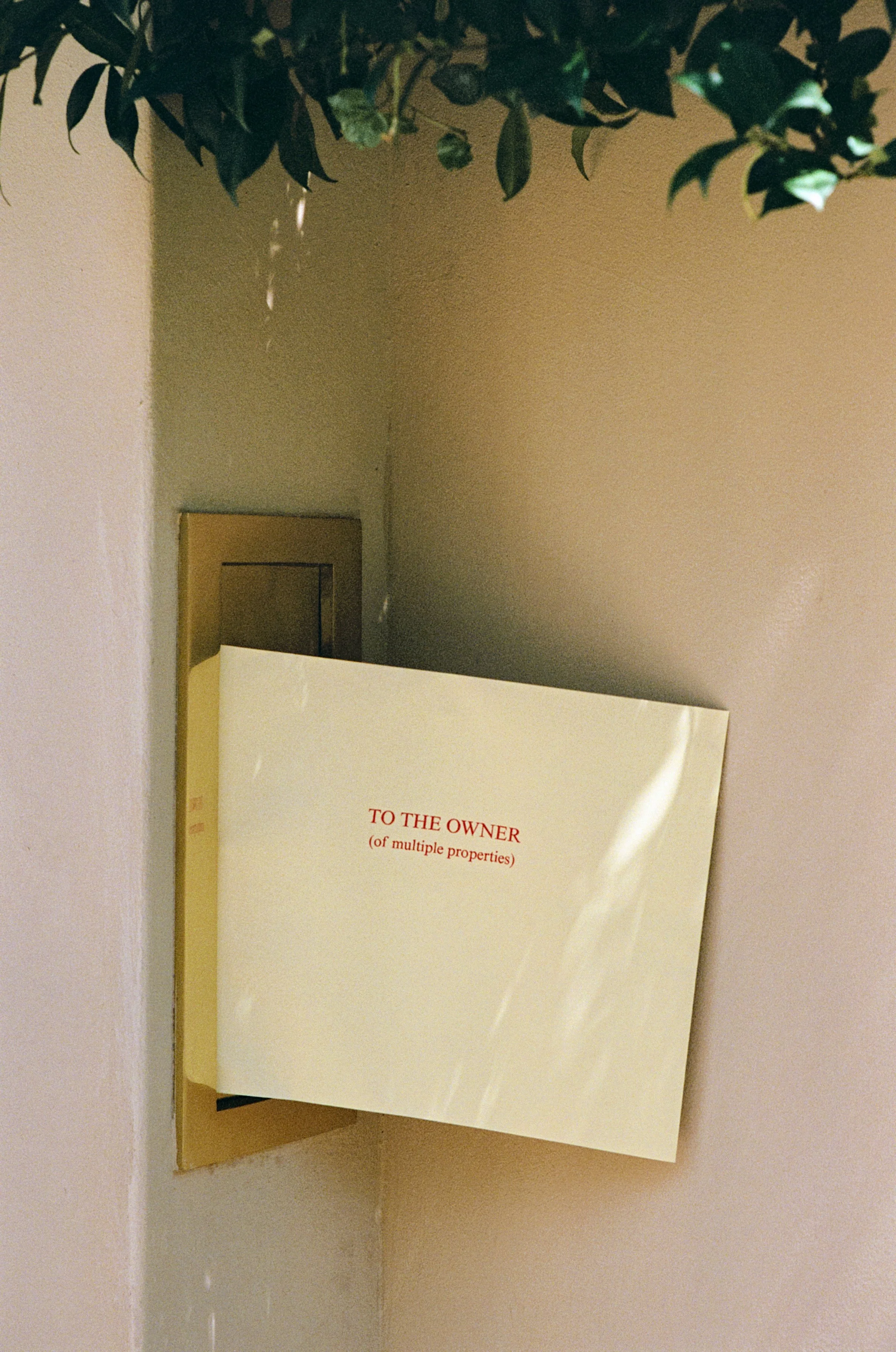 photo by Ben Lindberg