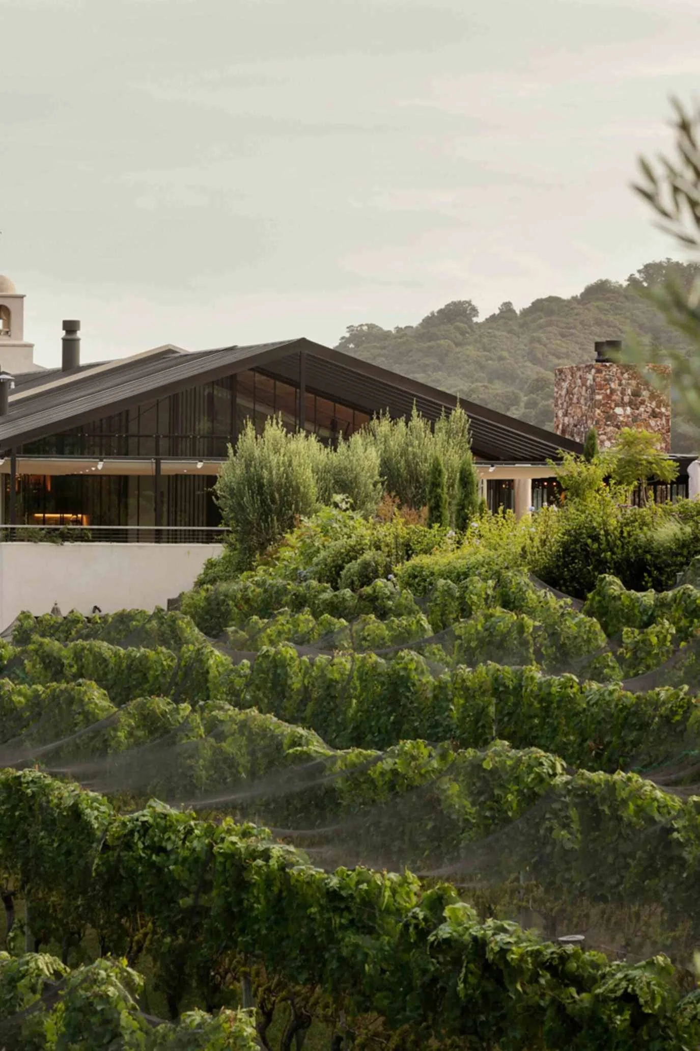 New Zealand Honeymoon Itinerary, Waiheke 