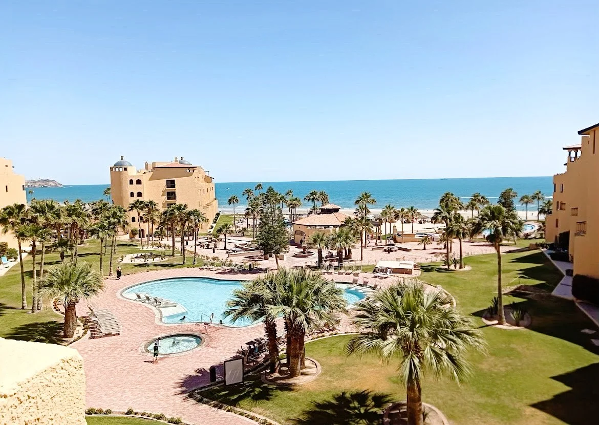 Beach resort with swimming pool, palm trees, and ocean view